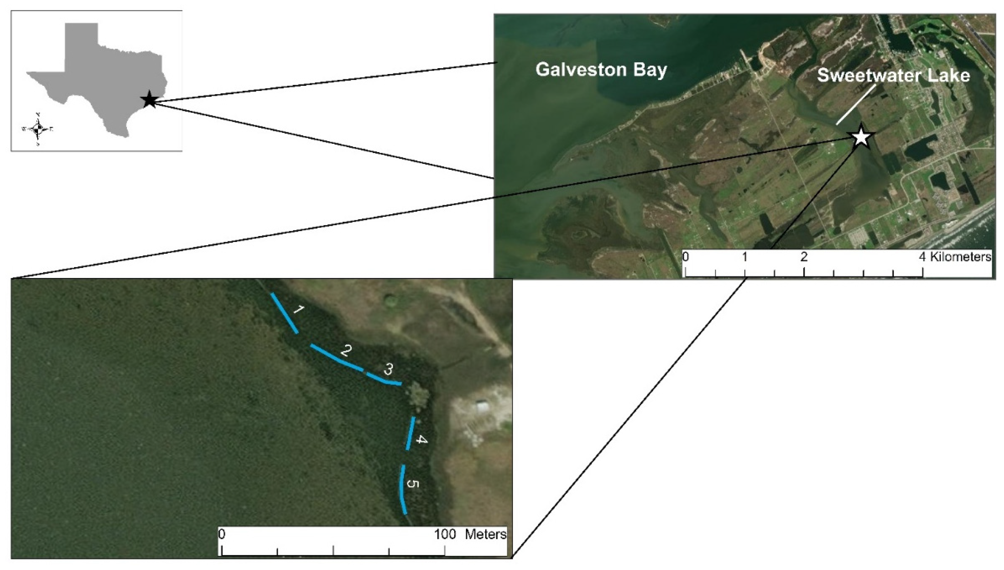 Ecologies 03 00030 g002