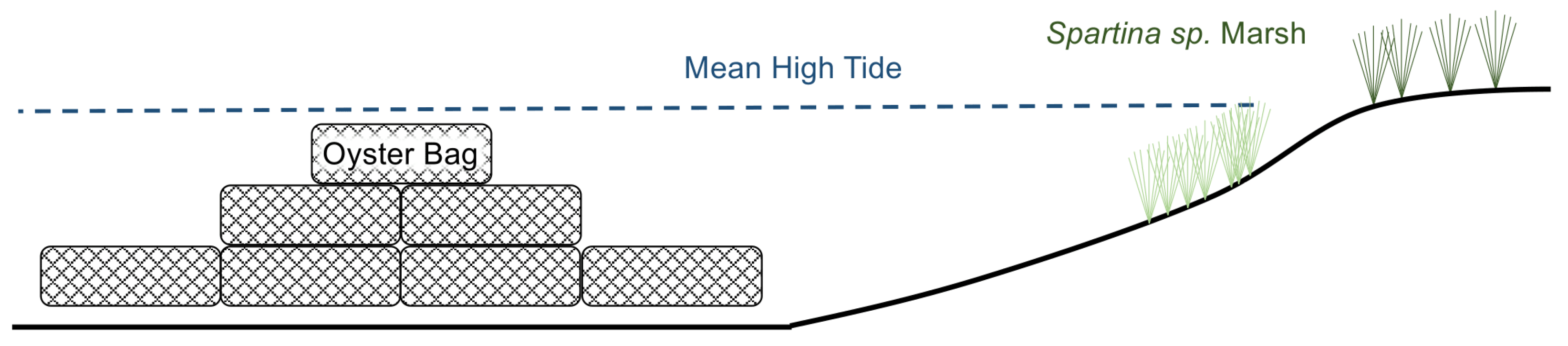 Ecologies 03 00030 g003