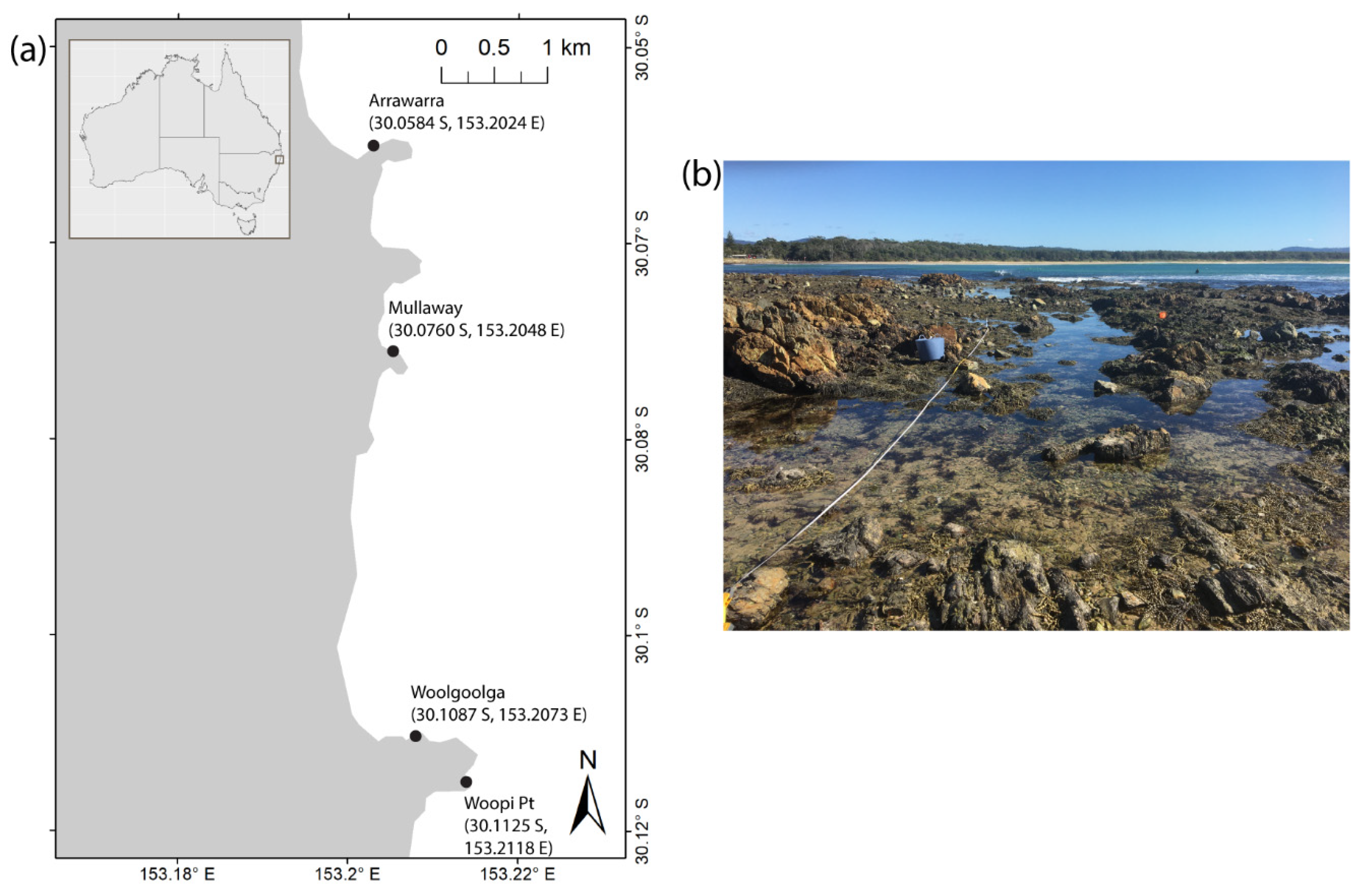 Ecologies 03 00037 g001 Ecologies 03 00037 g001