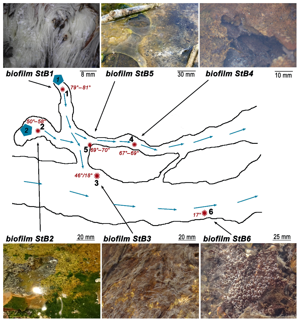 Ecologies 04 00009 g001 Ecologies 04 00009 g001