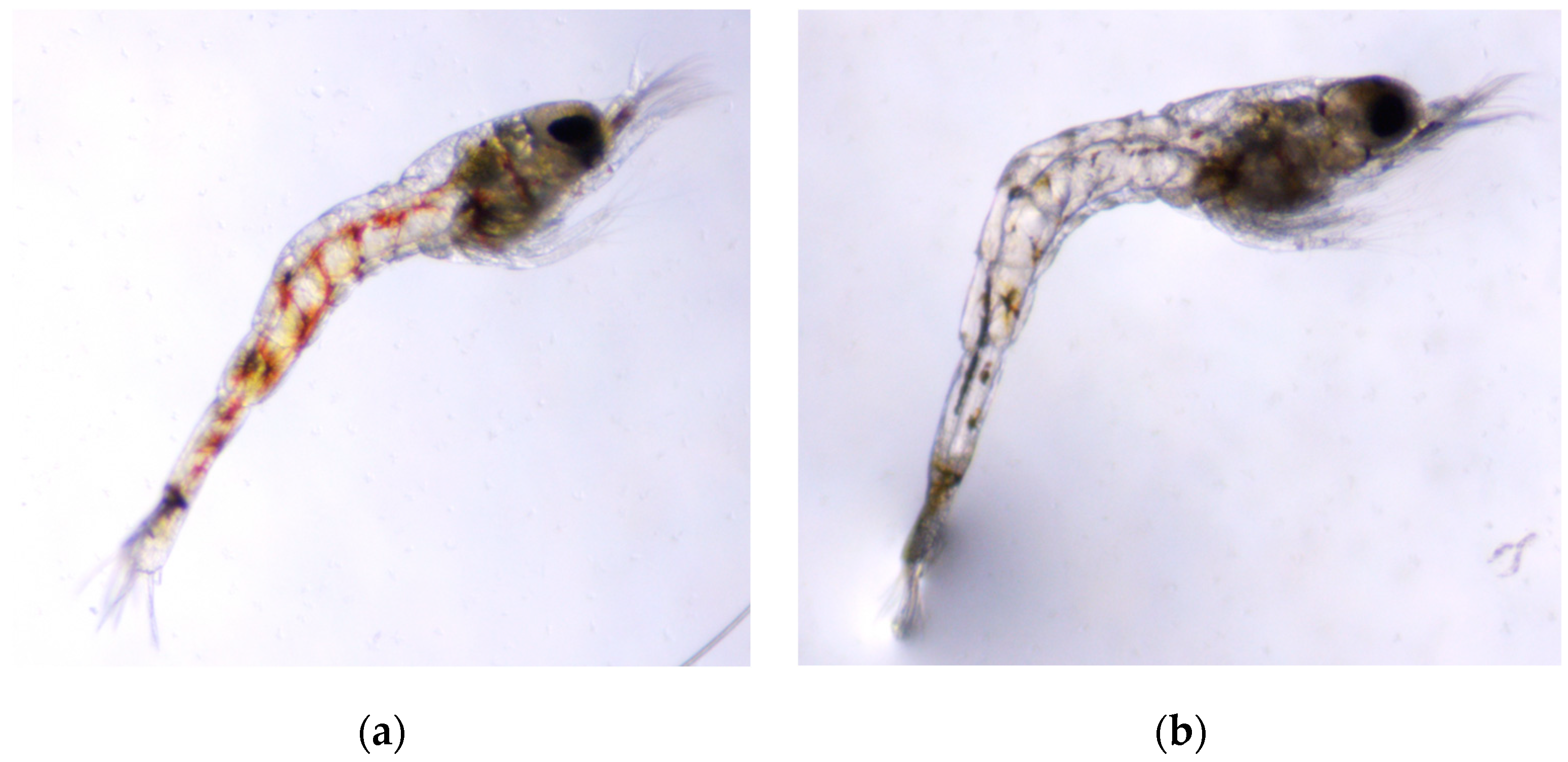 Ecologies 04 00011 g004