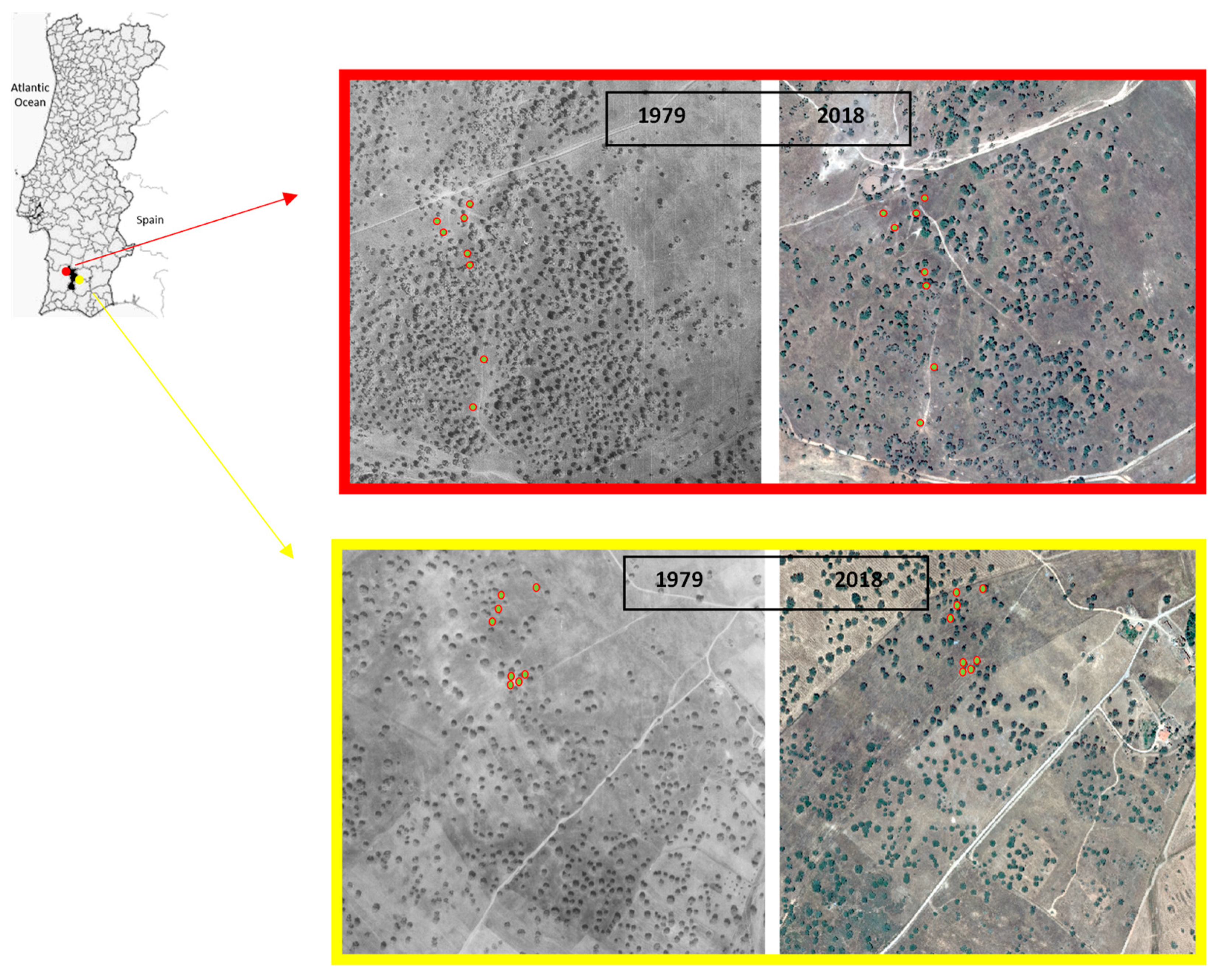 Ecologies 04 00016 g001 Ecologies 04 00016 g001