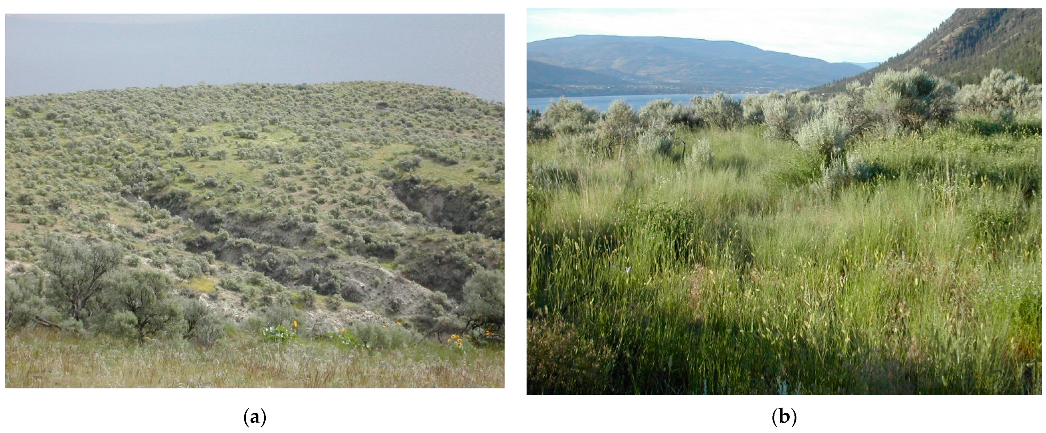 Ecologies 04 00026 g003 Ecologies 04 00026 g003