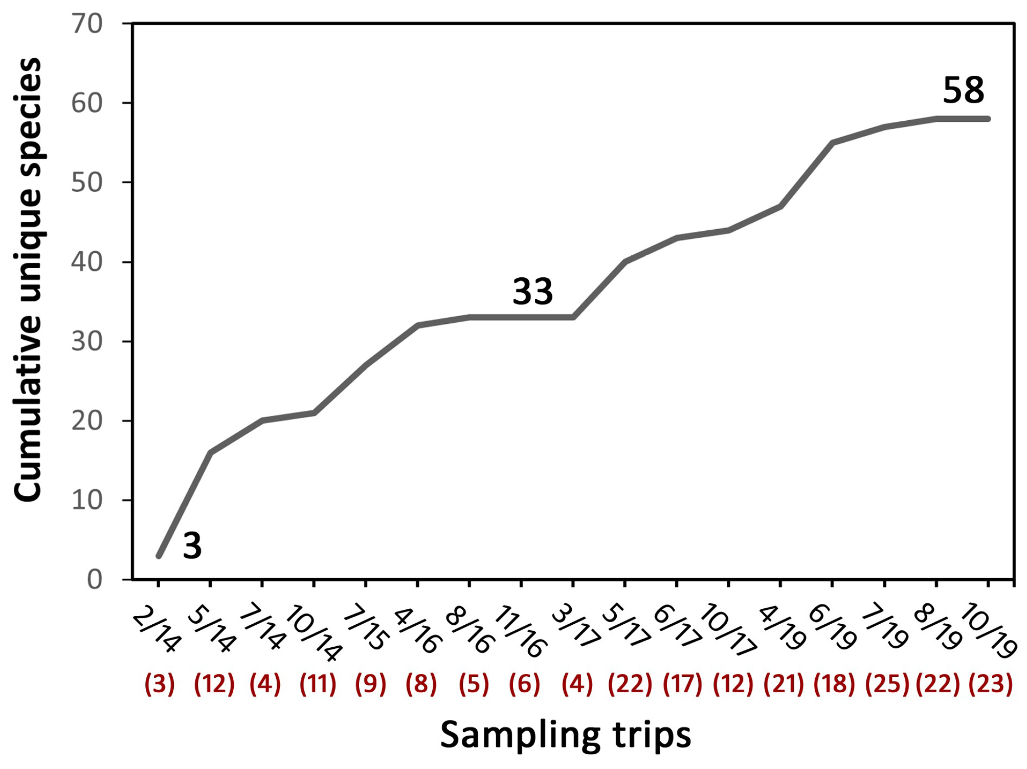 Ecologies 04 00028 g003
