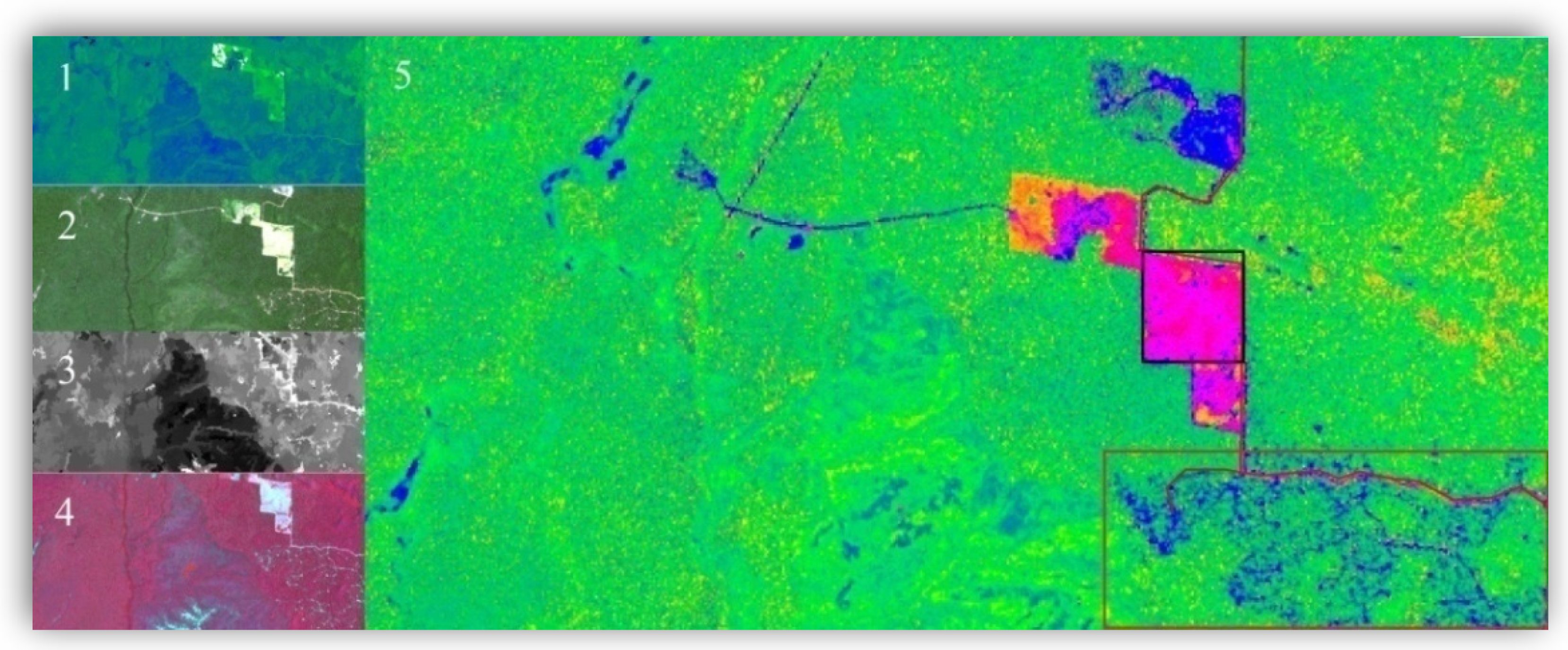 Ecologies 04 00045 g007