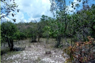 Ecologies 04 00045 i007