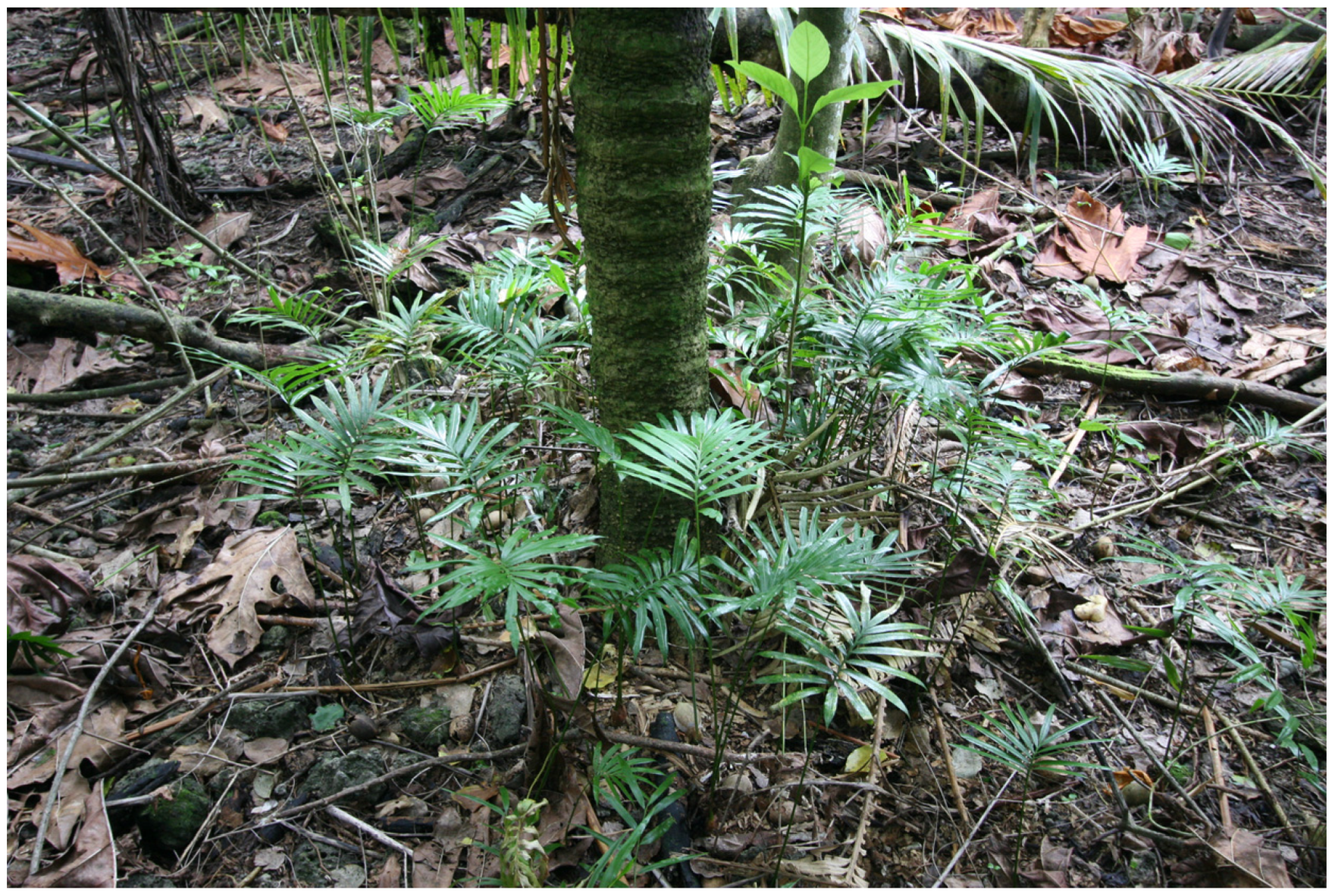 Ecologies 04 00048 g002