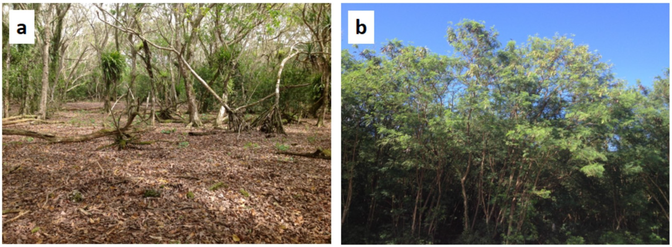 Ecologies 04 00048 g003