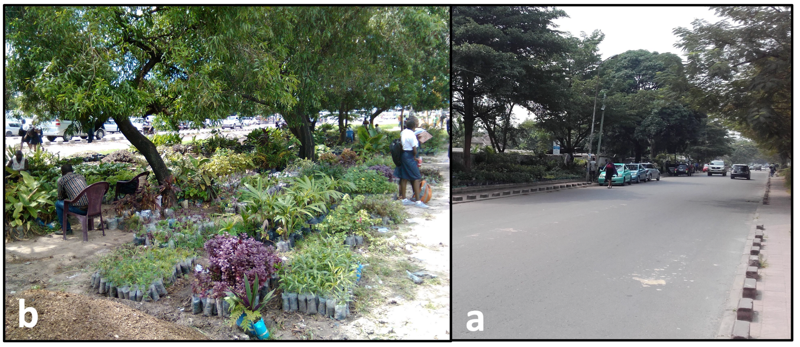 Ecologies 05 00006 g006