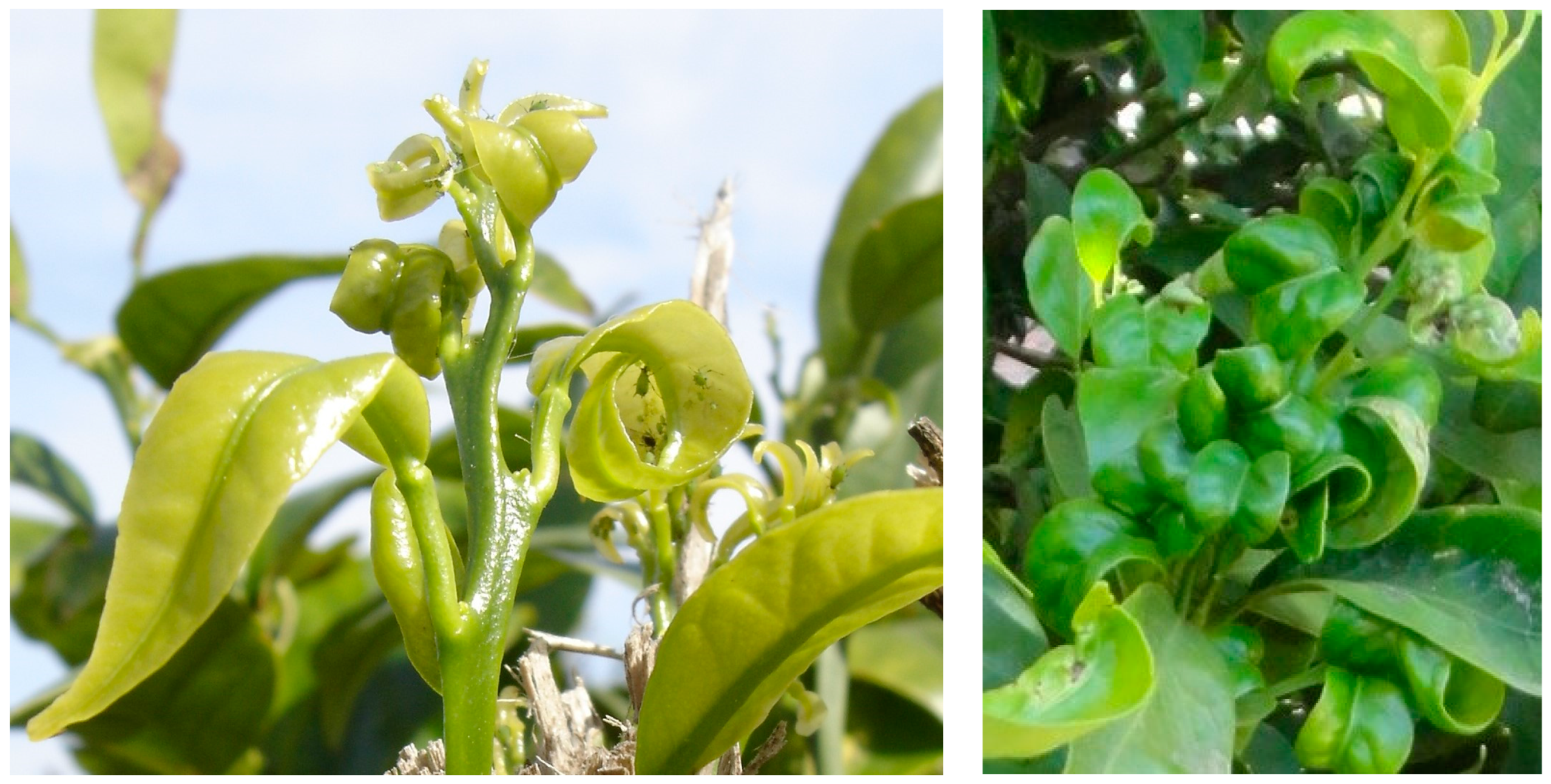 Ecologies 05 00007 g001