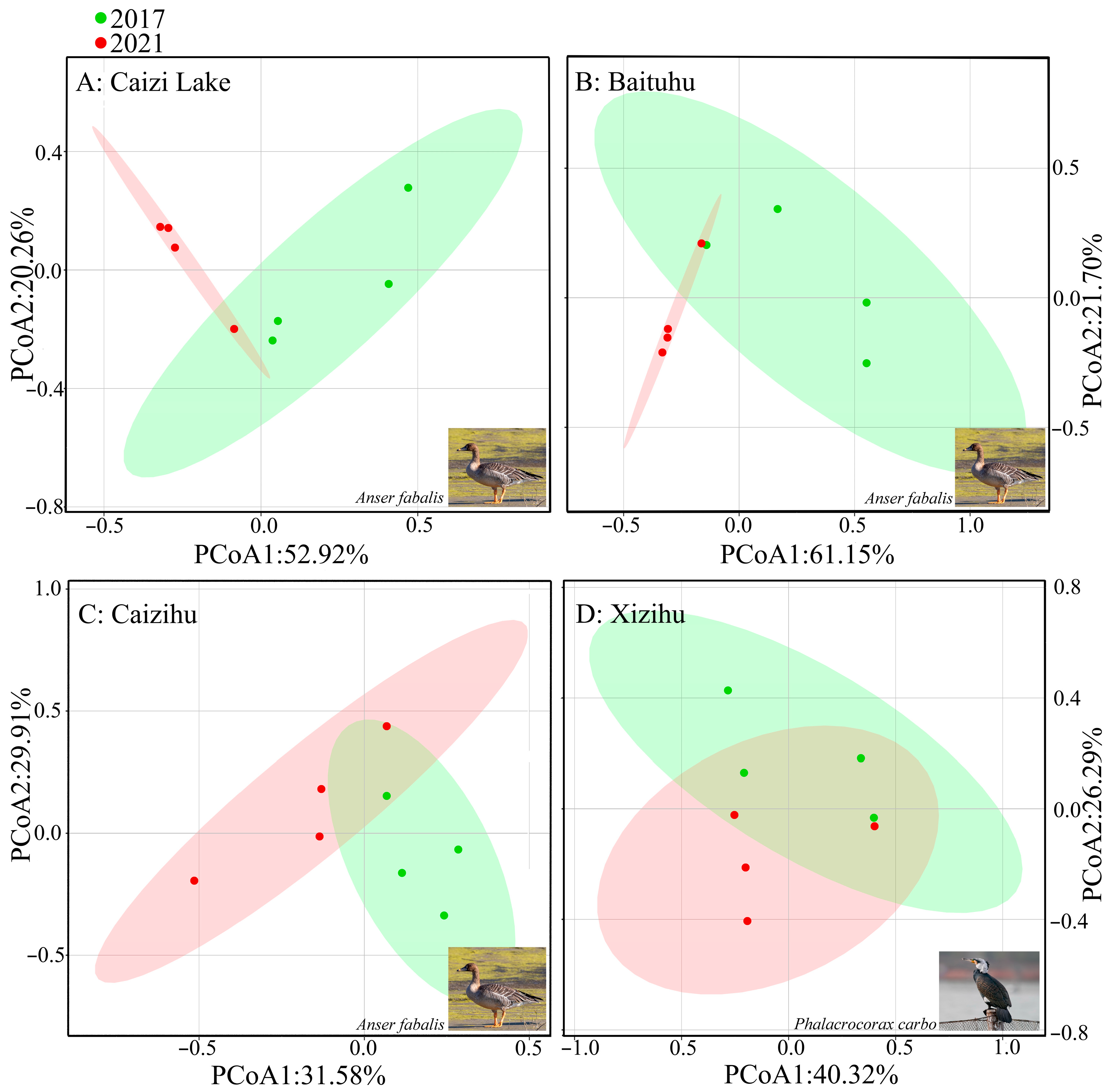 Ecologies 05 00019 g006
