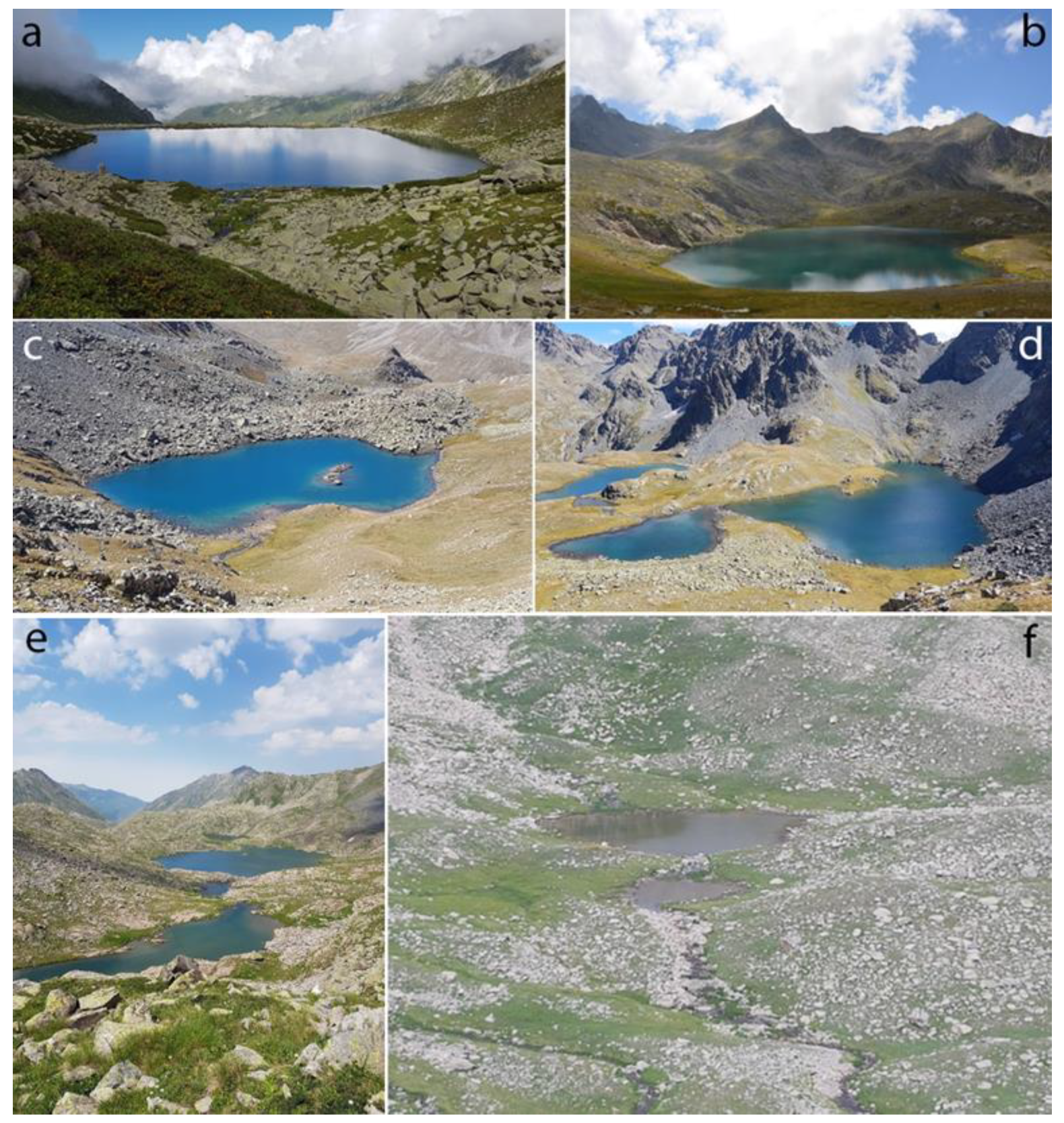 Ecologies 05 00020 g002