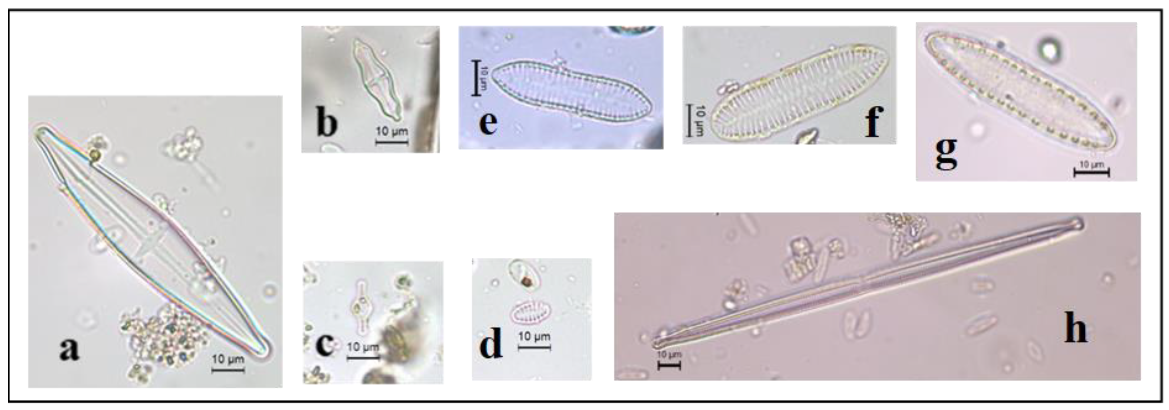 Ecologies 05 00020 g0a4