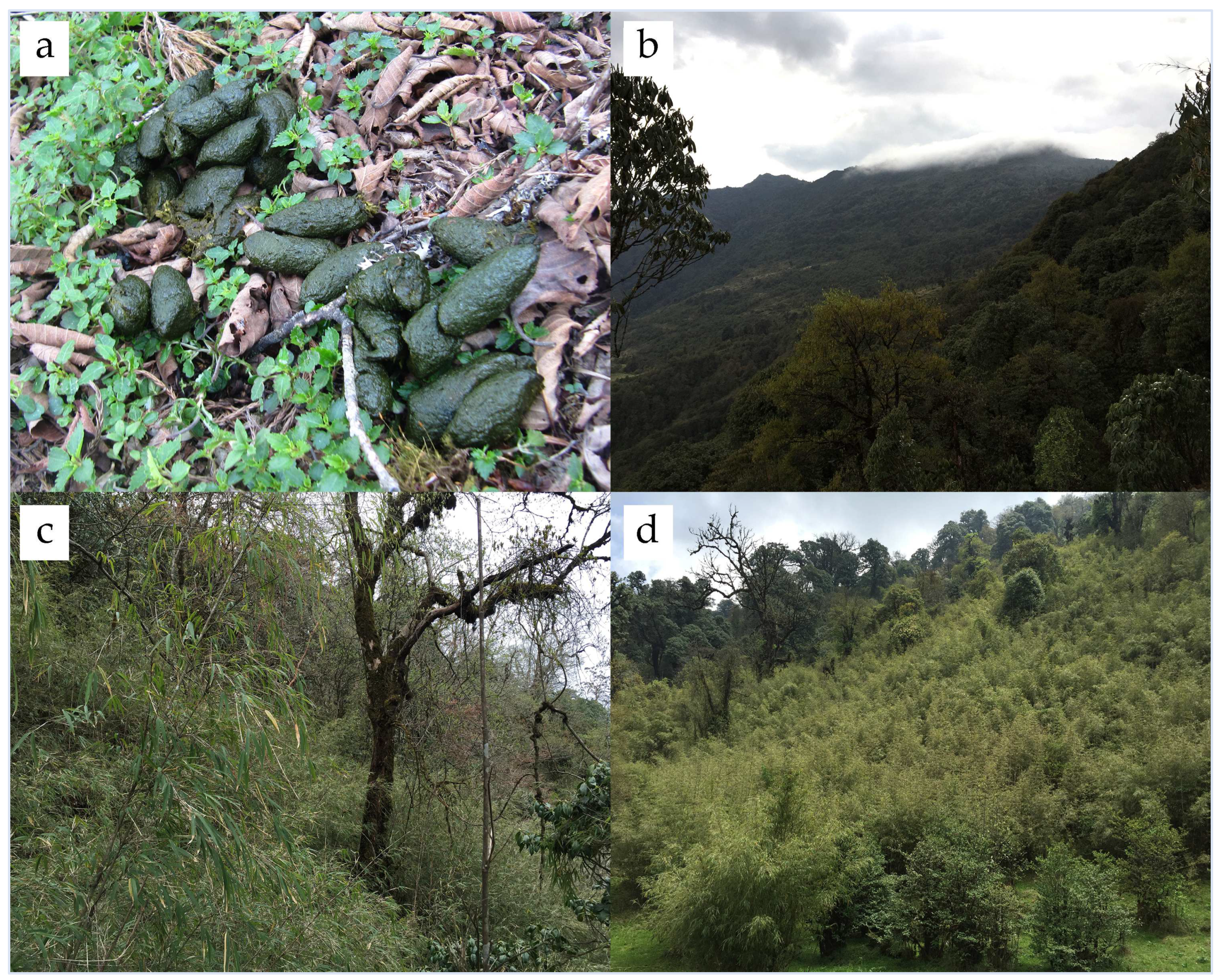 Ecologies 05 00021 g002