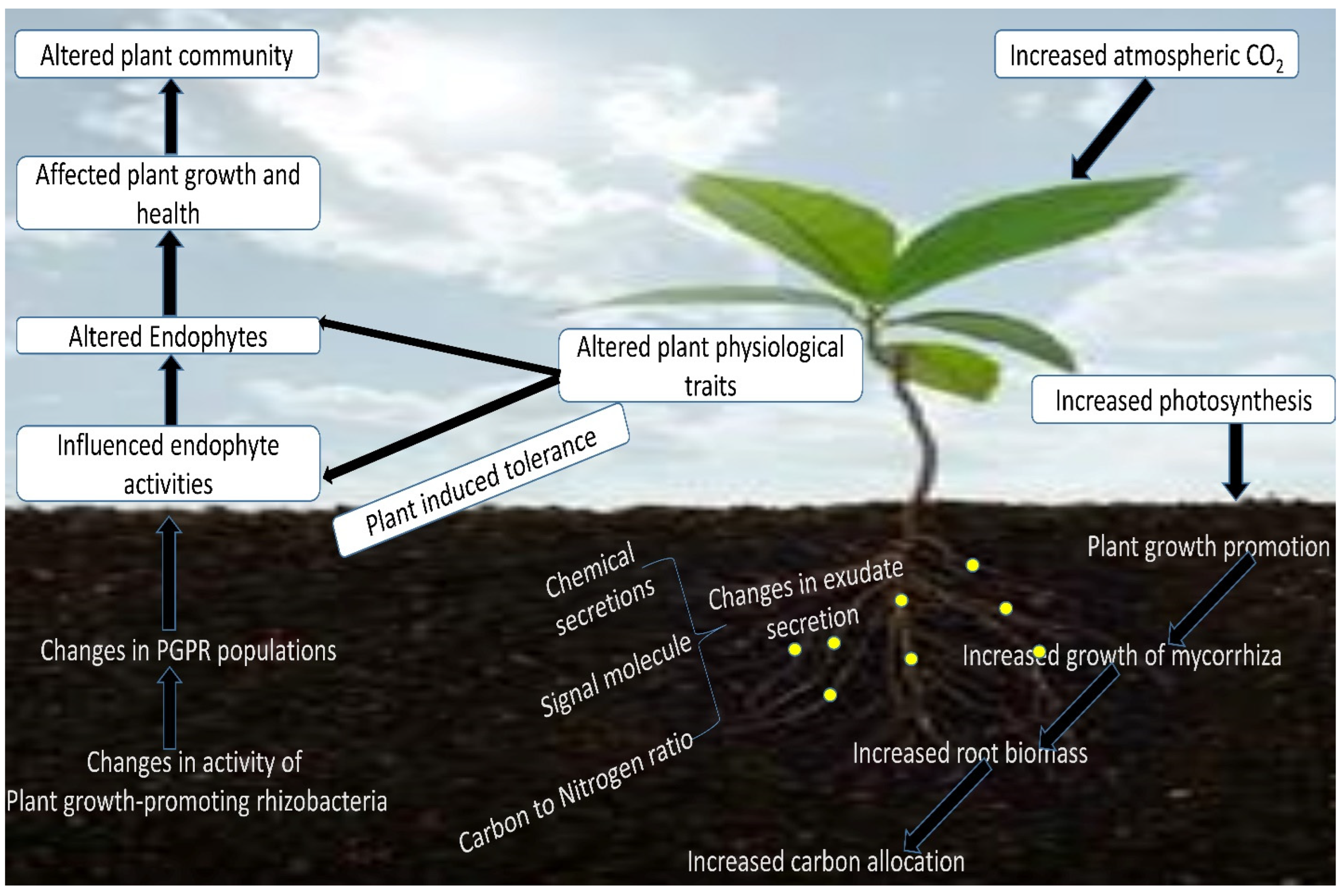 Ecologies 05 00024 g001