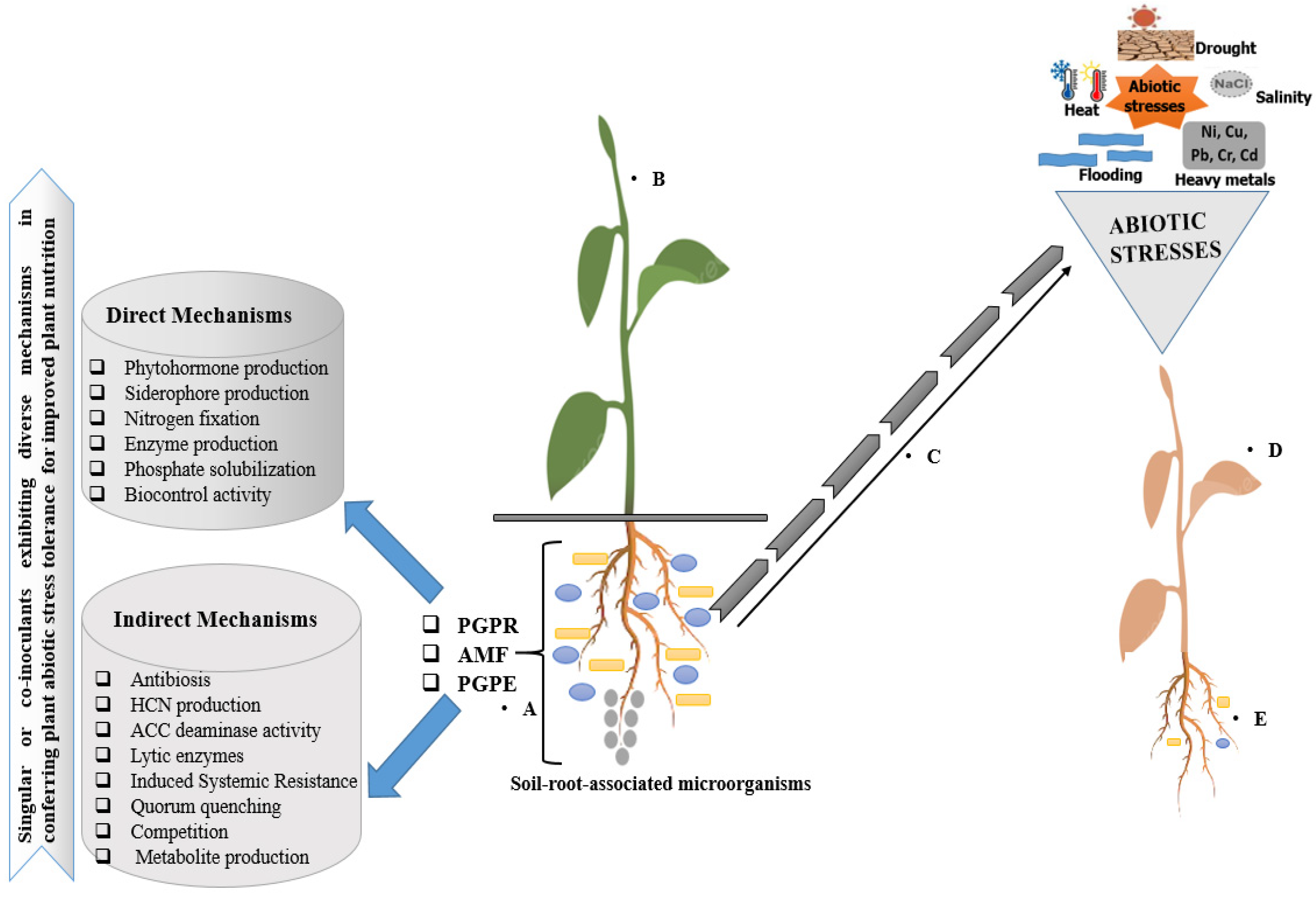 Ecologies 05 00024 g003