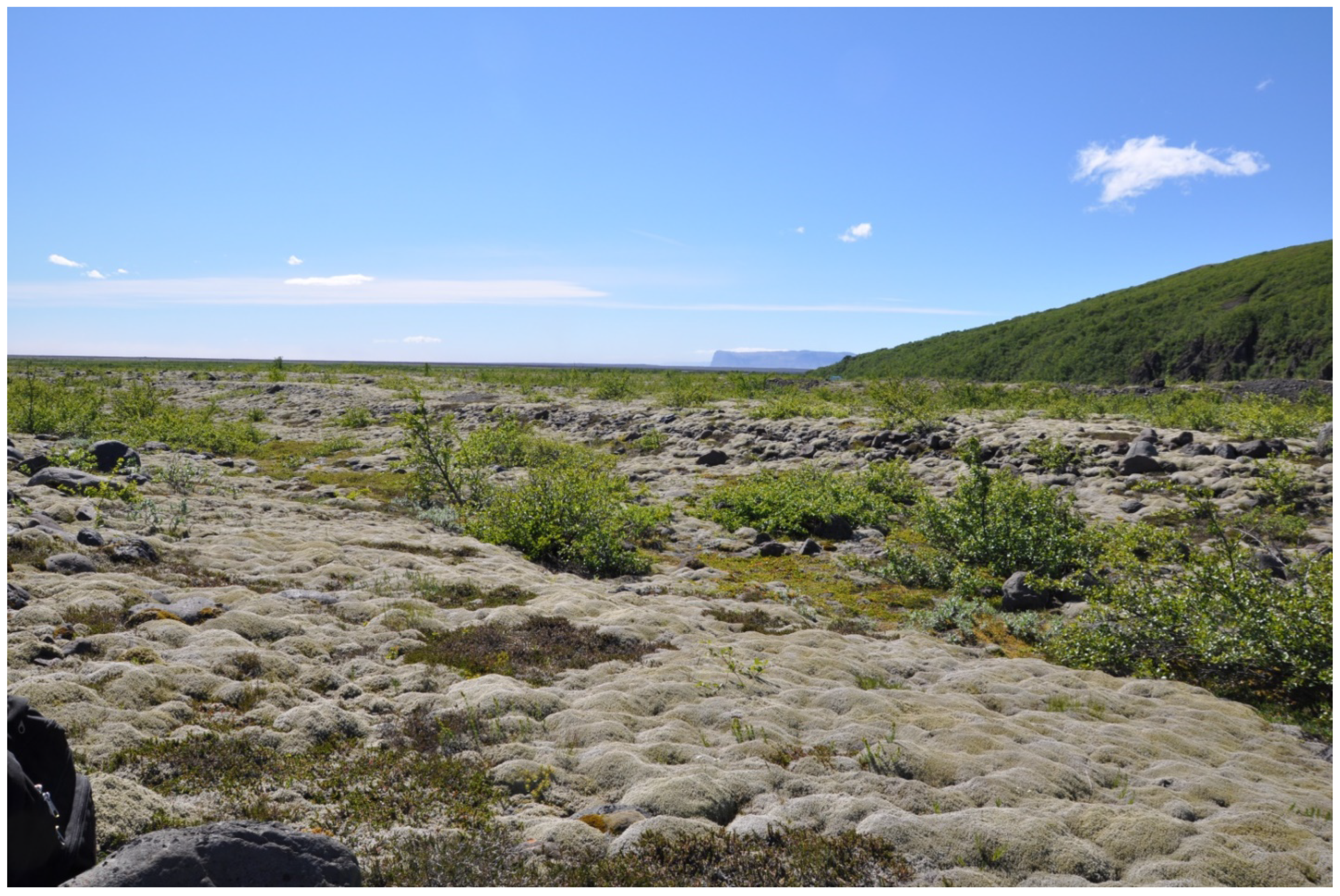 Ecologies 05 00026 g002 Ecologies 05 00026 g002