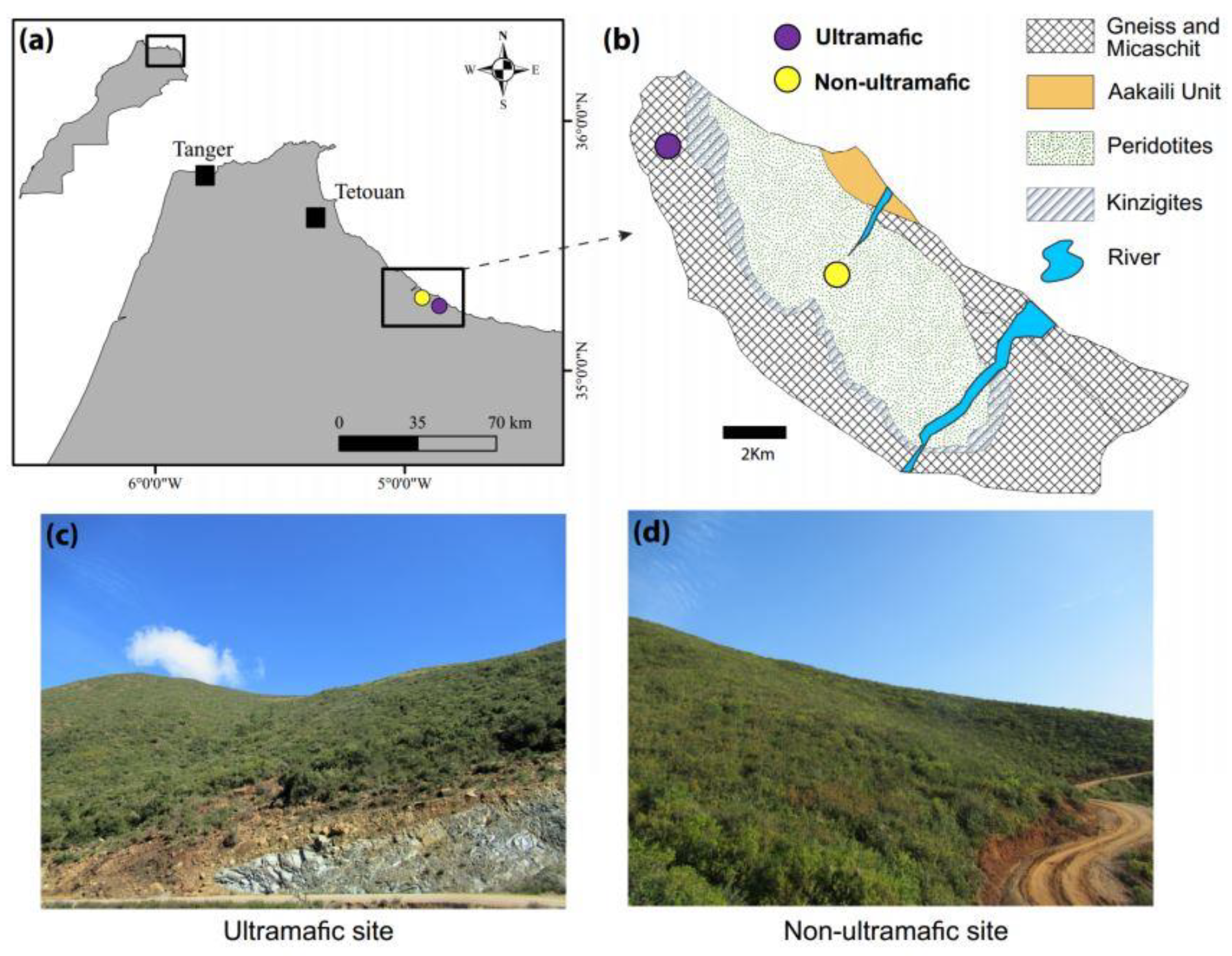 Ecologies 05 00028 g001