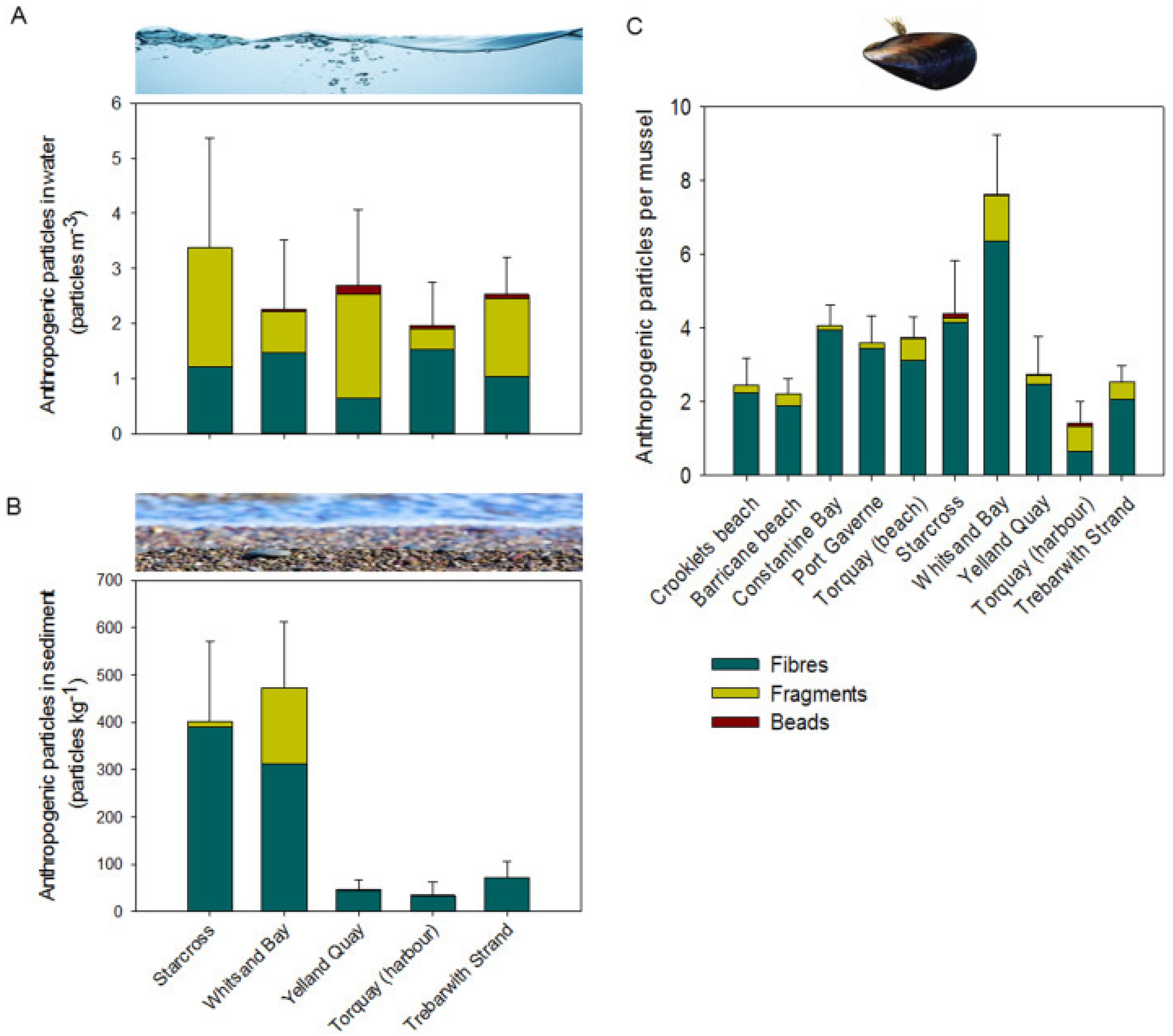 Ecologies 05 00040 g001