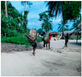 Ecologies 06 00002 i002