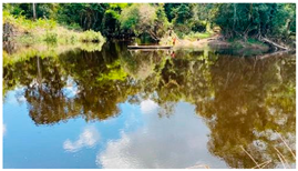 Ecologies 06 00002 i003