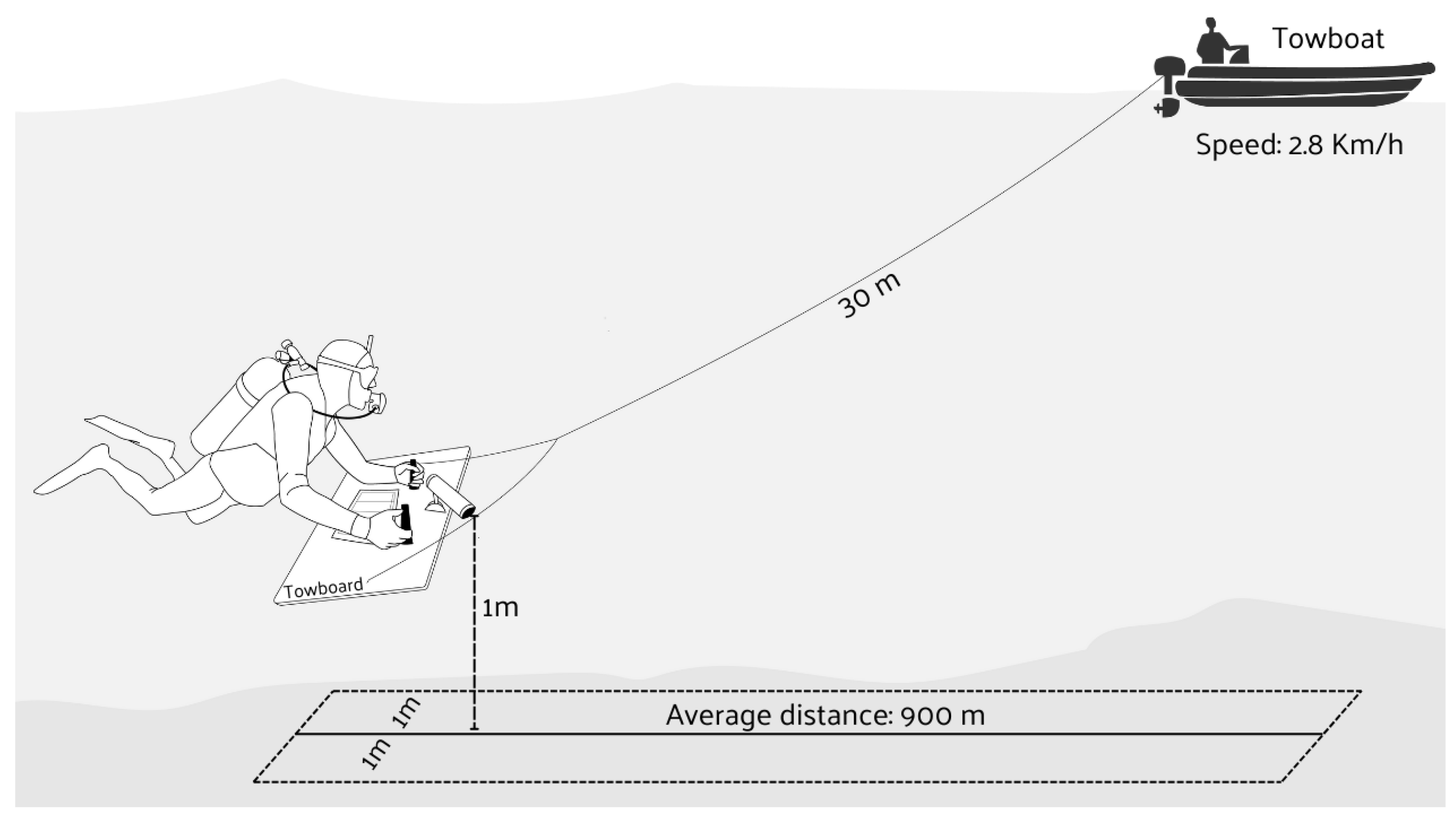Ecologies 06 00010 g002