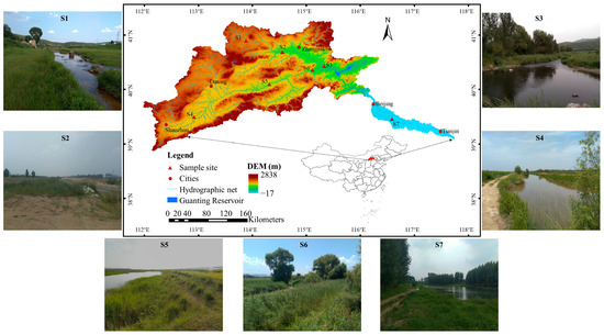 Quantifying the Water Sources of Riparian Plants for