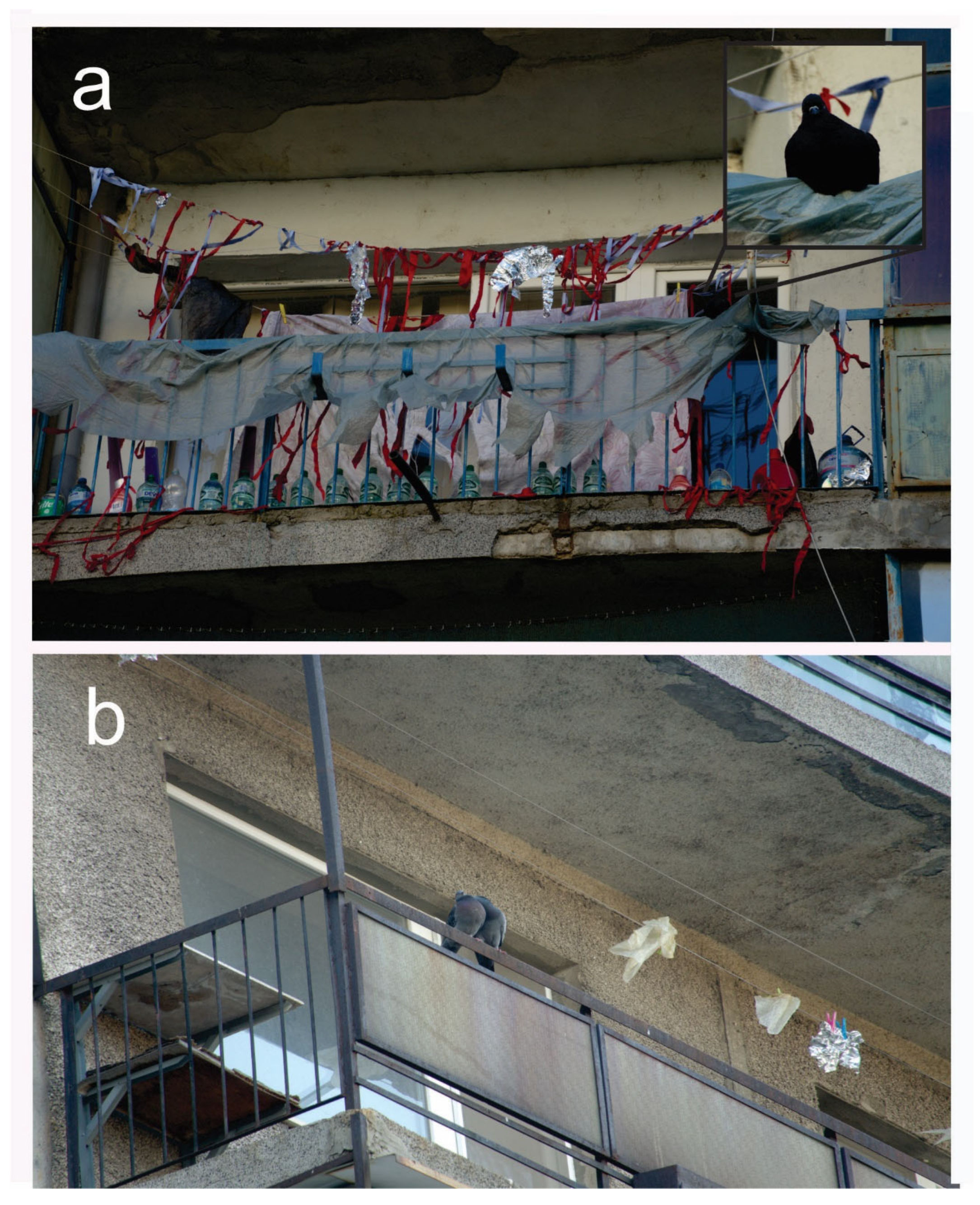 Ecologies 06 00022 g005