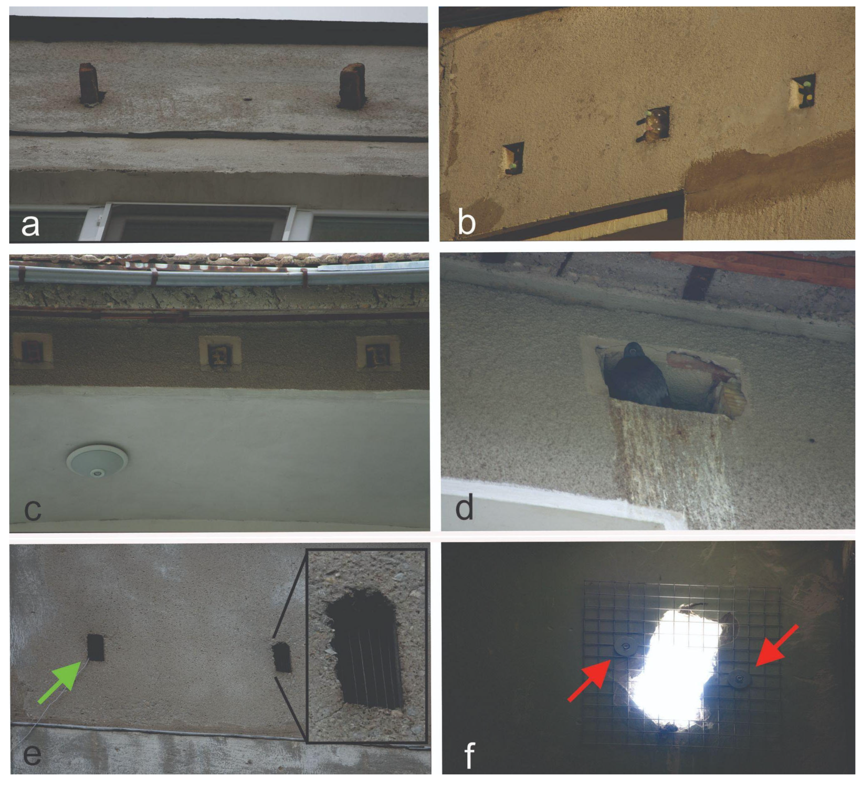 Ecologies 06 00022 g006