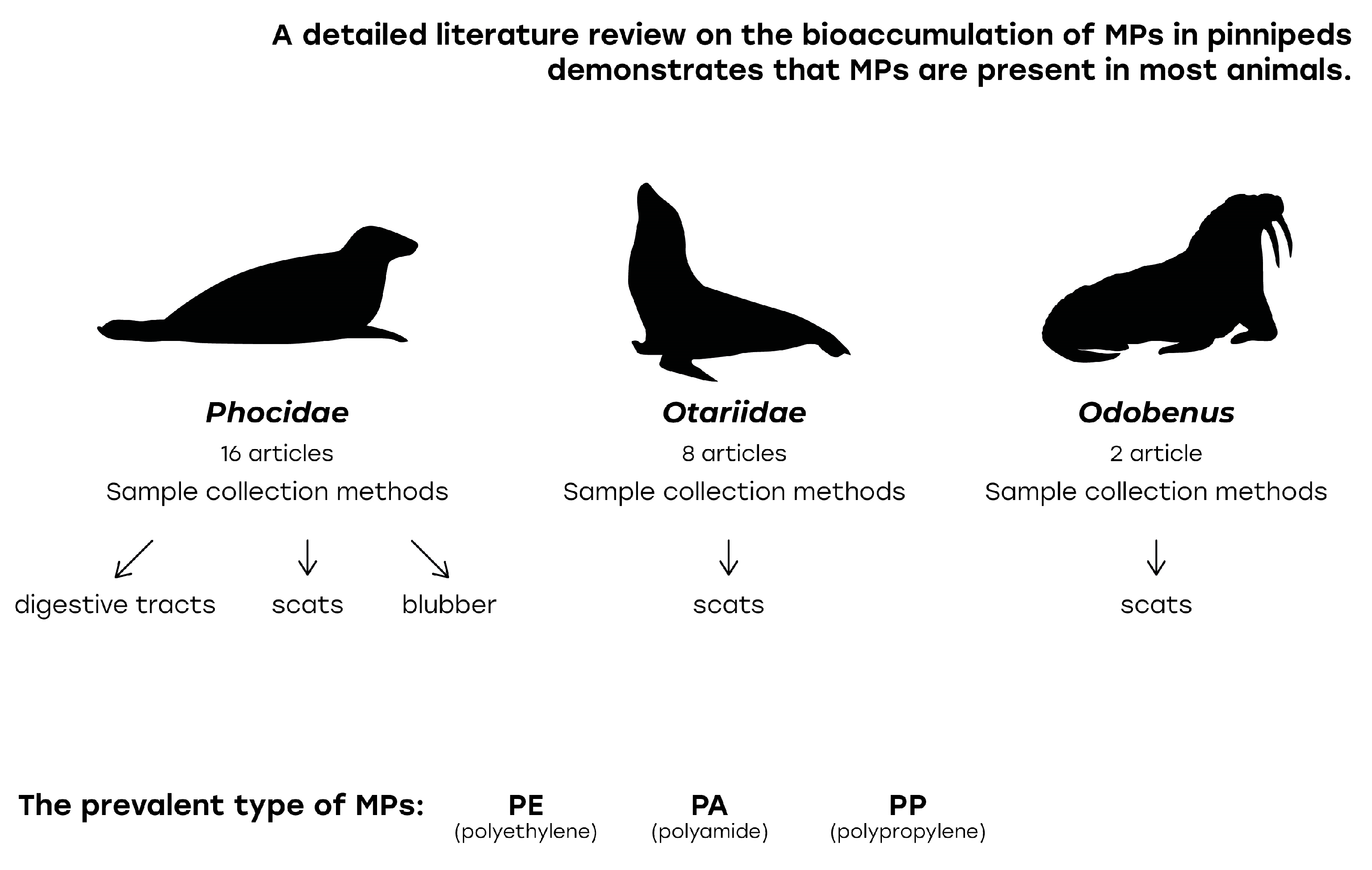Ecologies 06 00026 g002