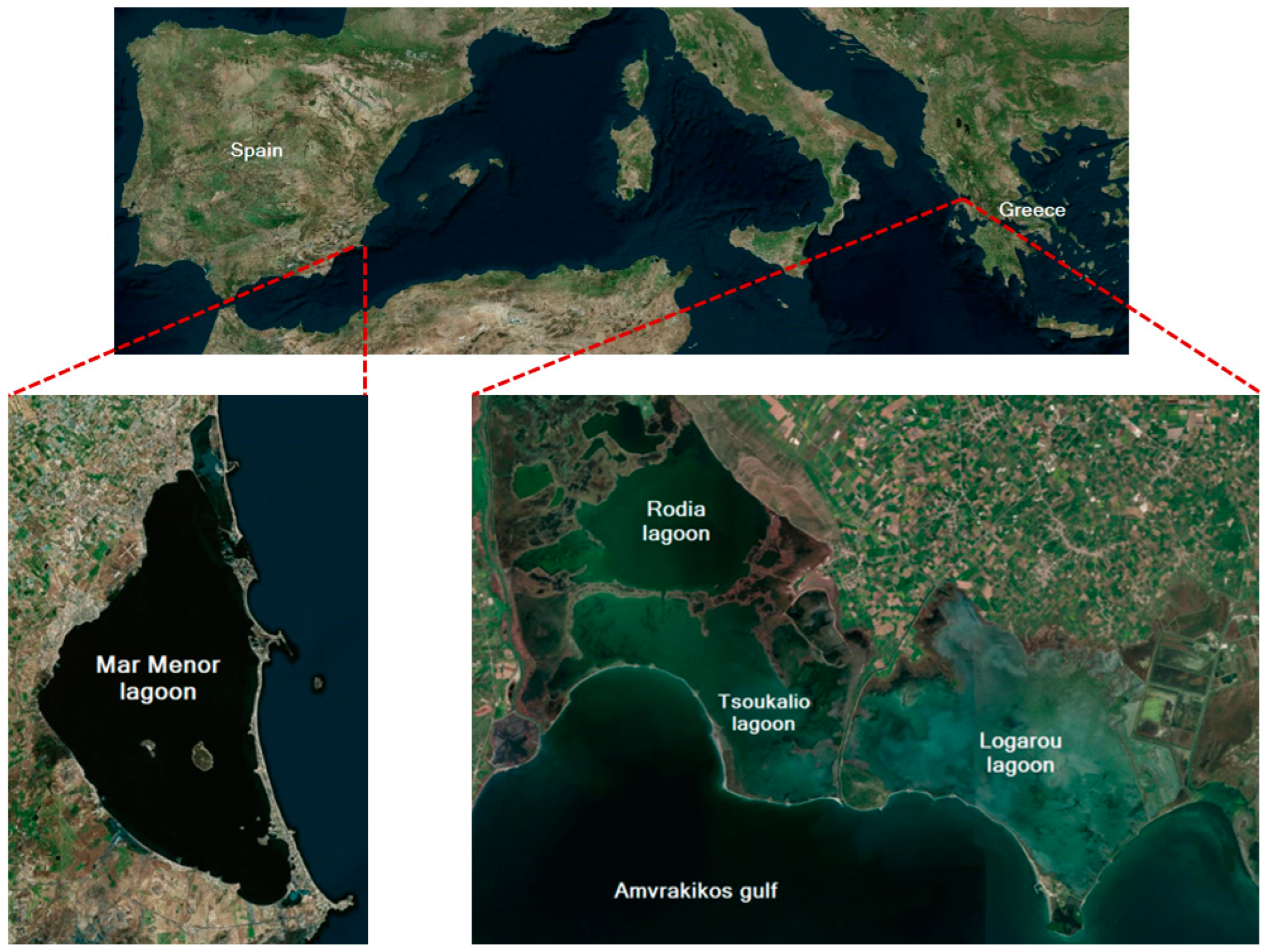 Ecologies 06 00035 g001