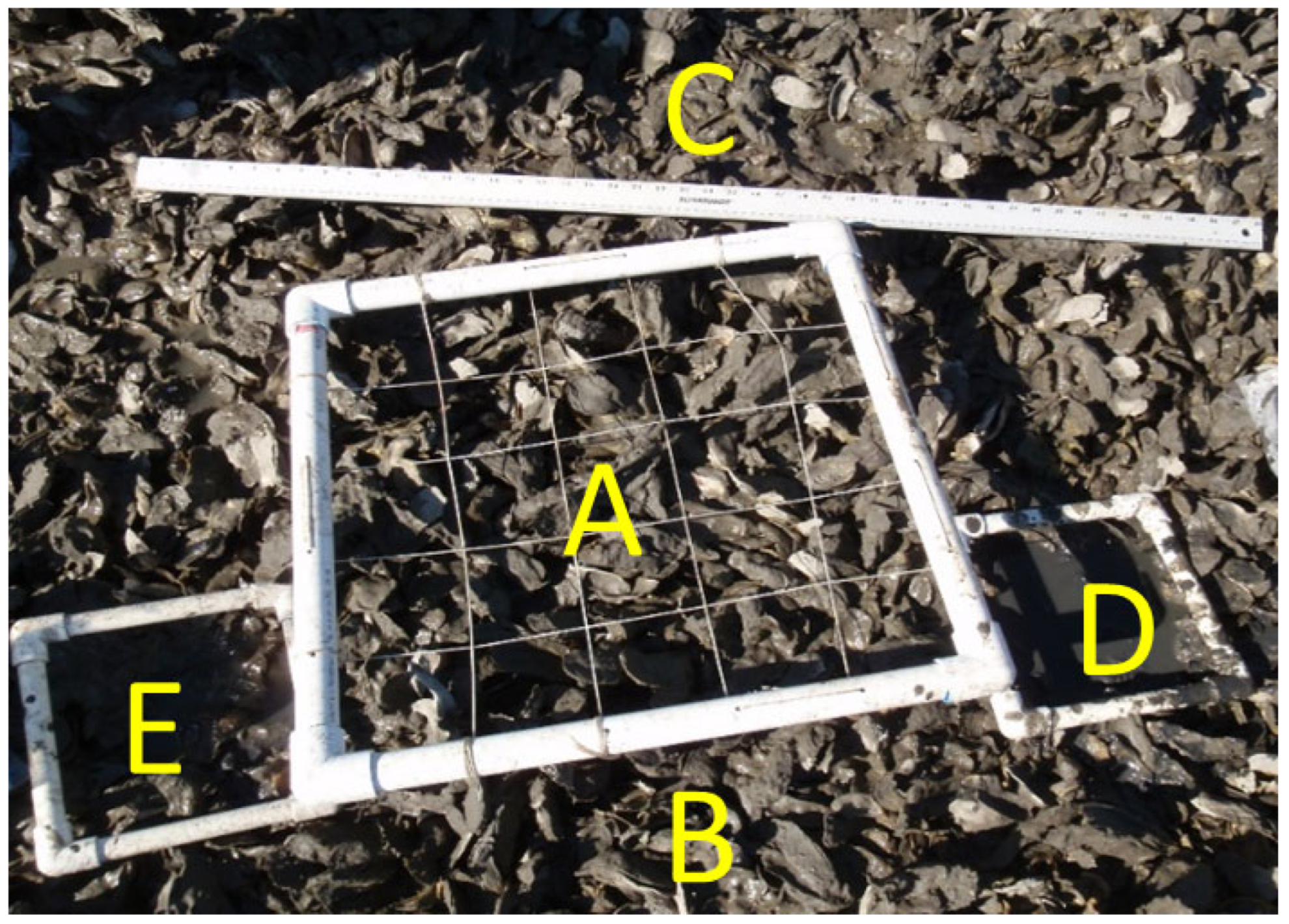 Ecologies 06 00036 g002 Ecologies 06 00036 g002