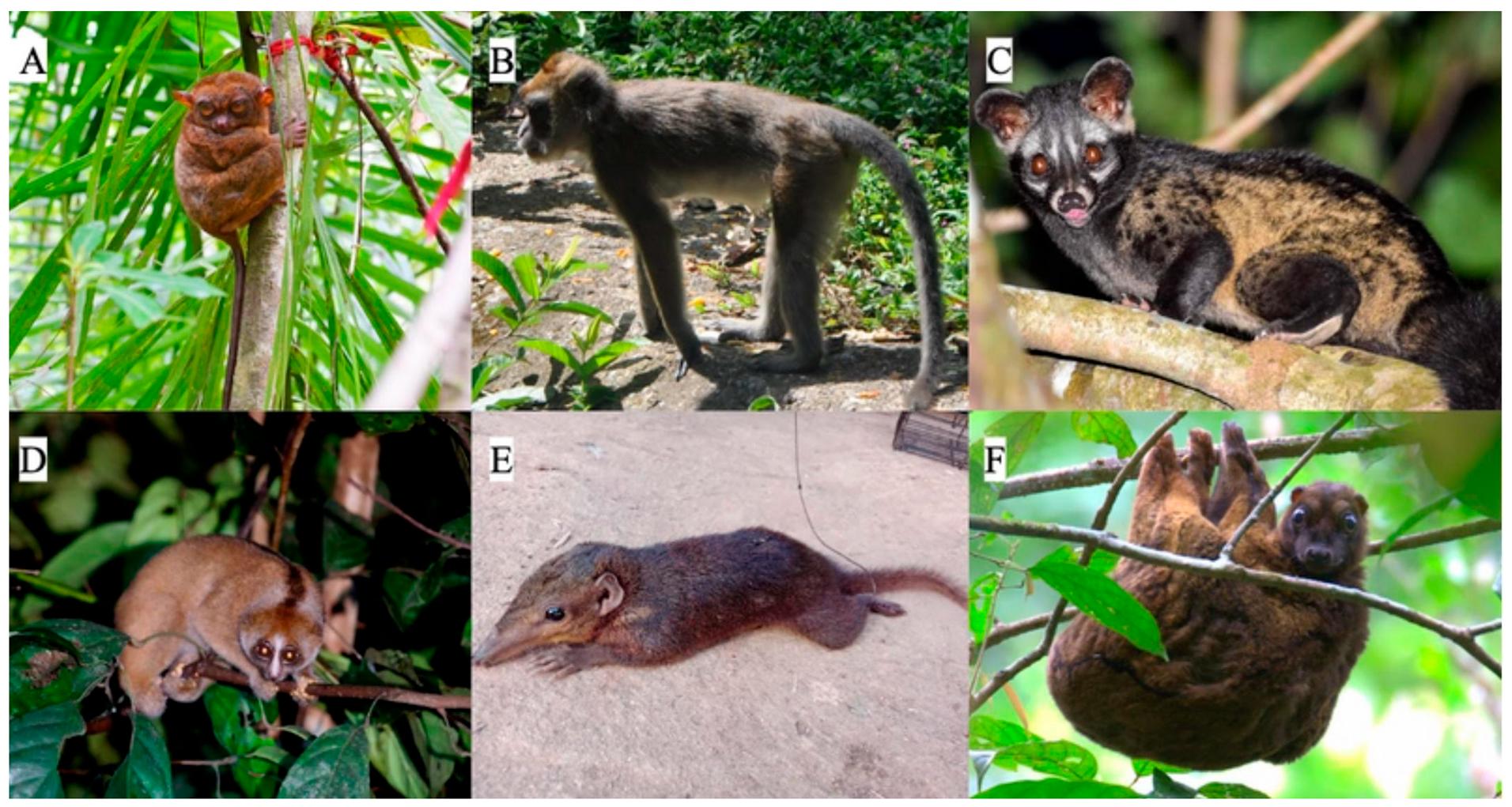 Ecologies 06 00050 i001