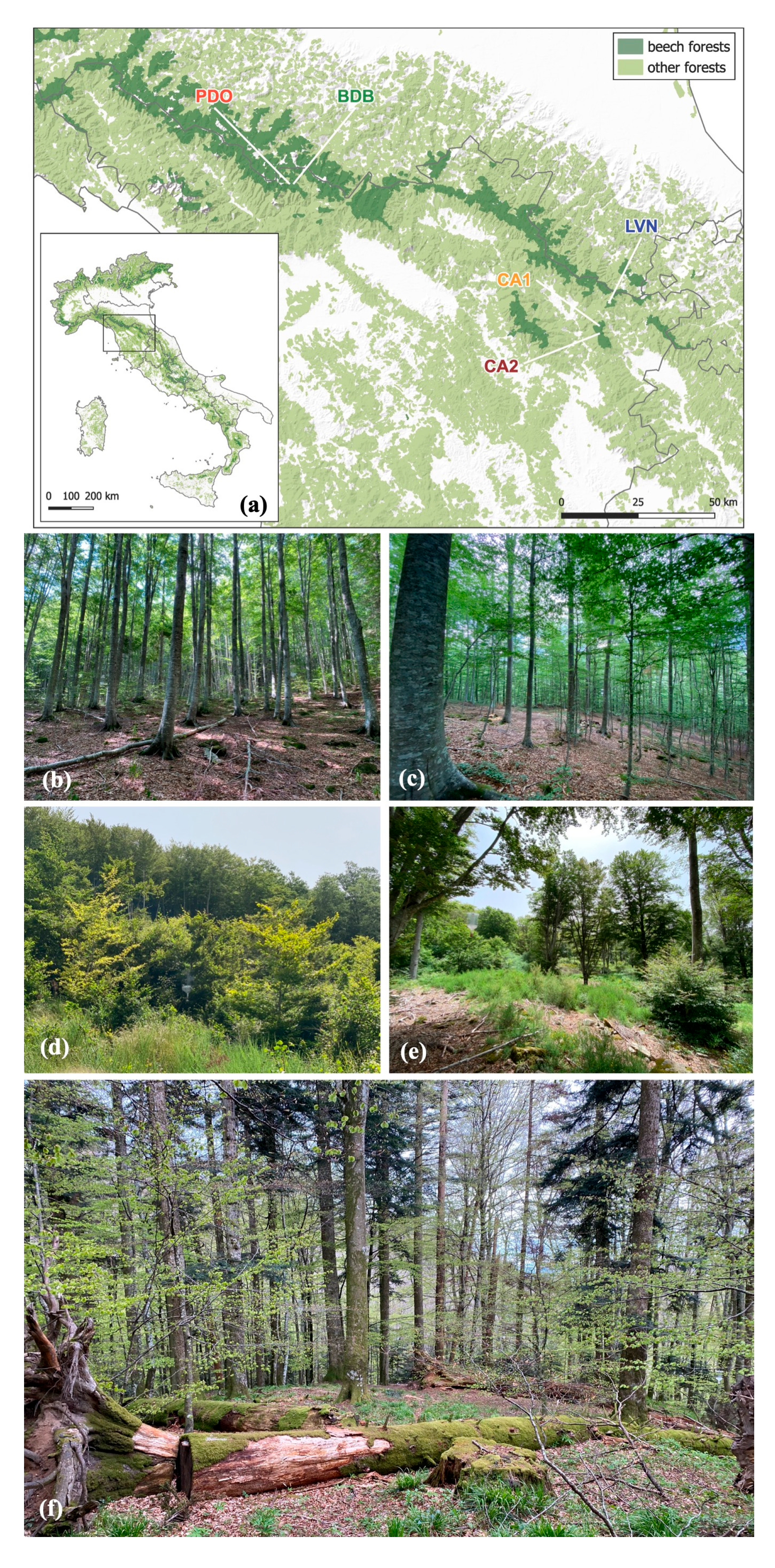Ecologies 06 00054 g001 Ecologies 06 00054 g001