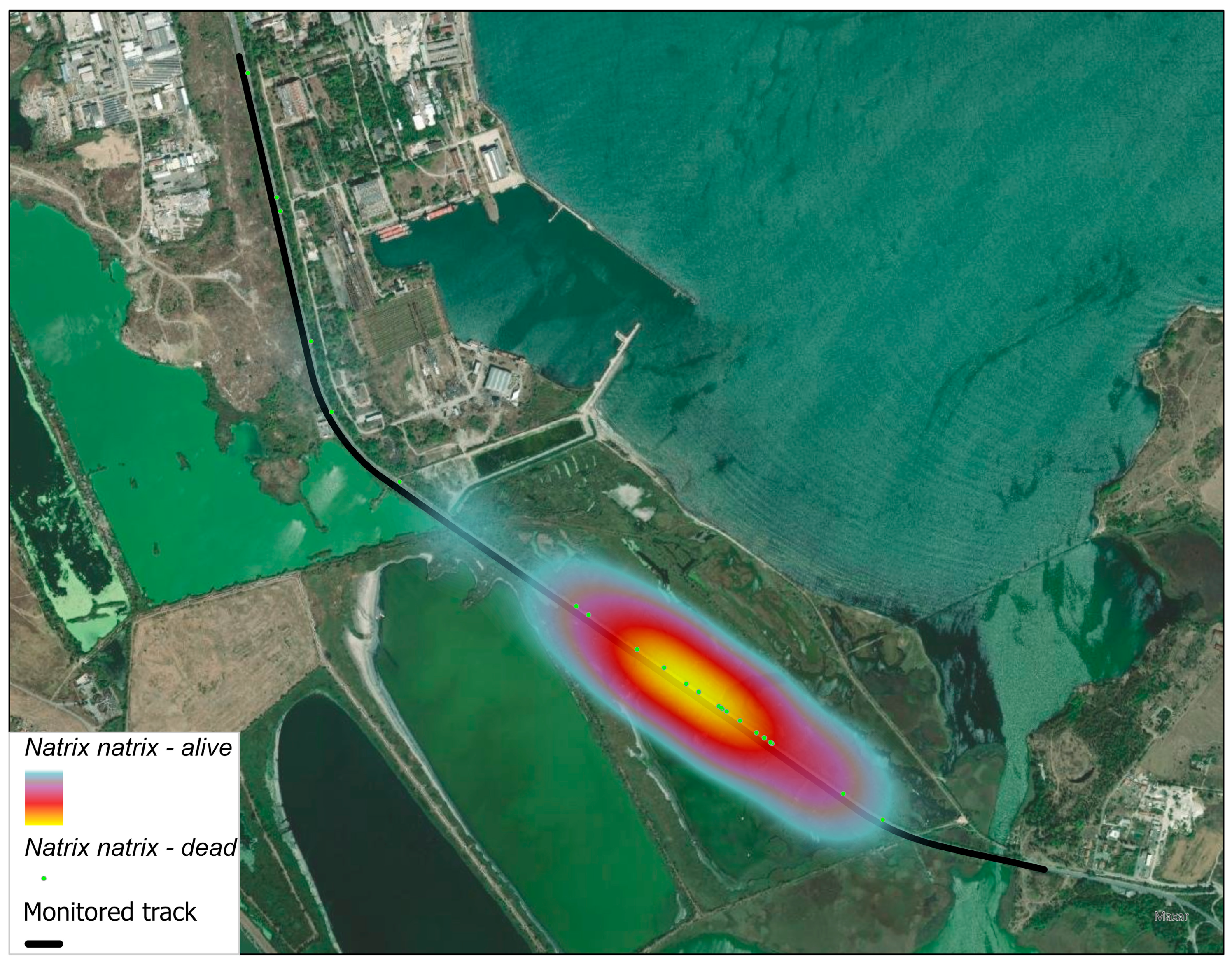 Ecologies 06 00068 g005