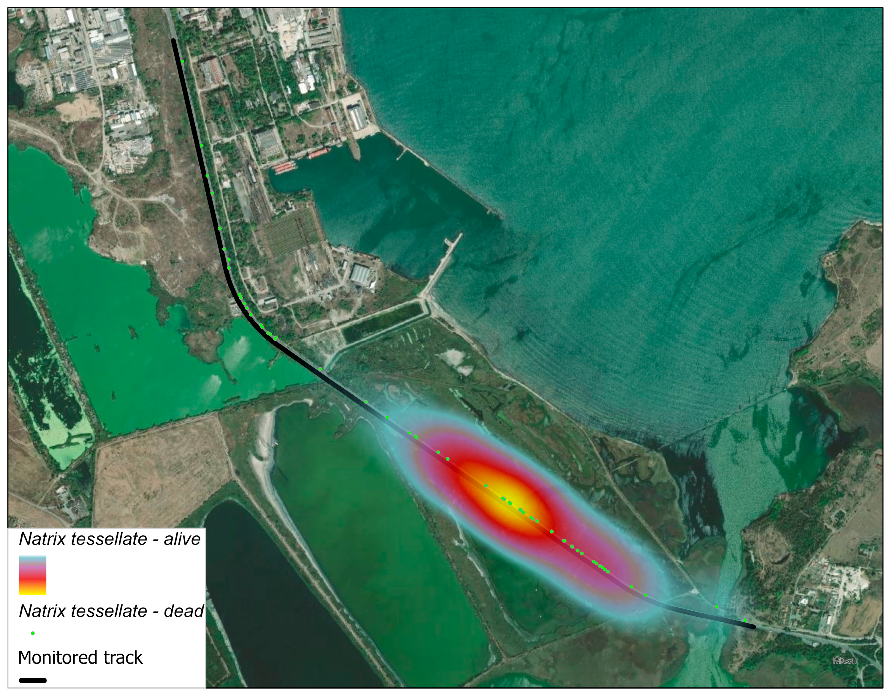 Ecologies 06 00068 g006