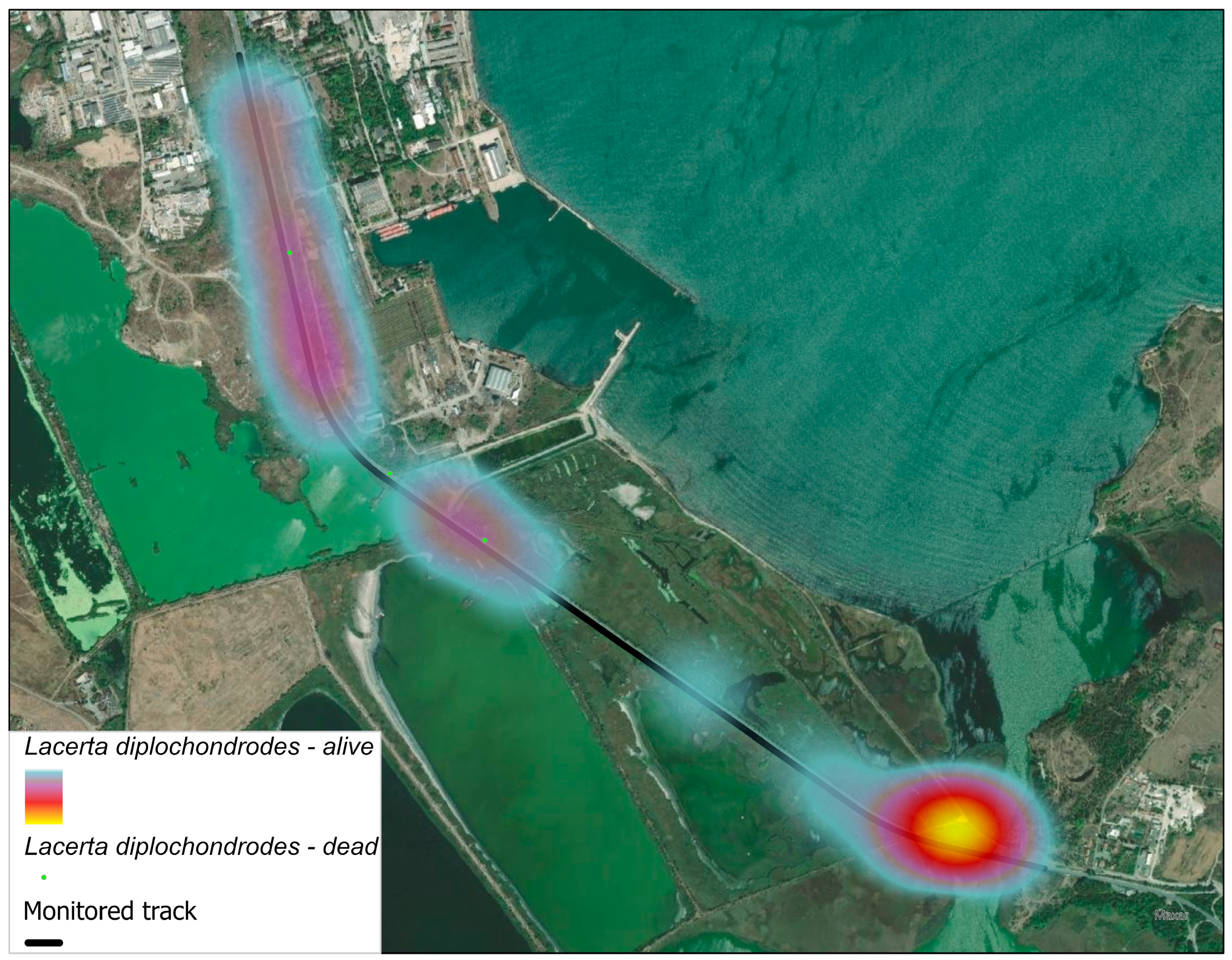 Ecologies 06 00068 g008