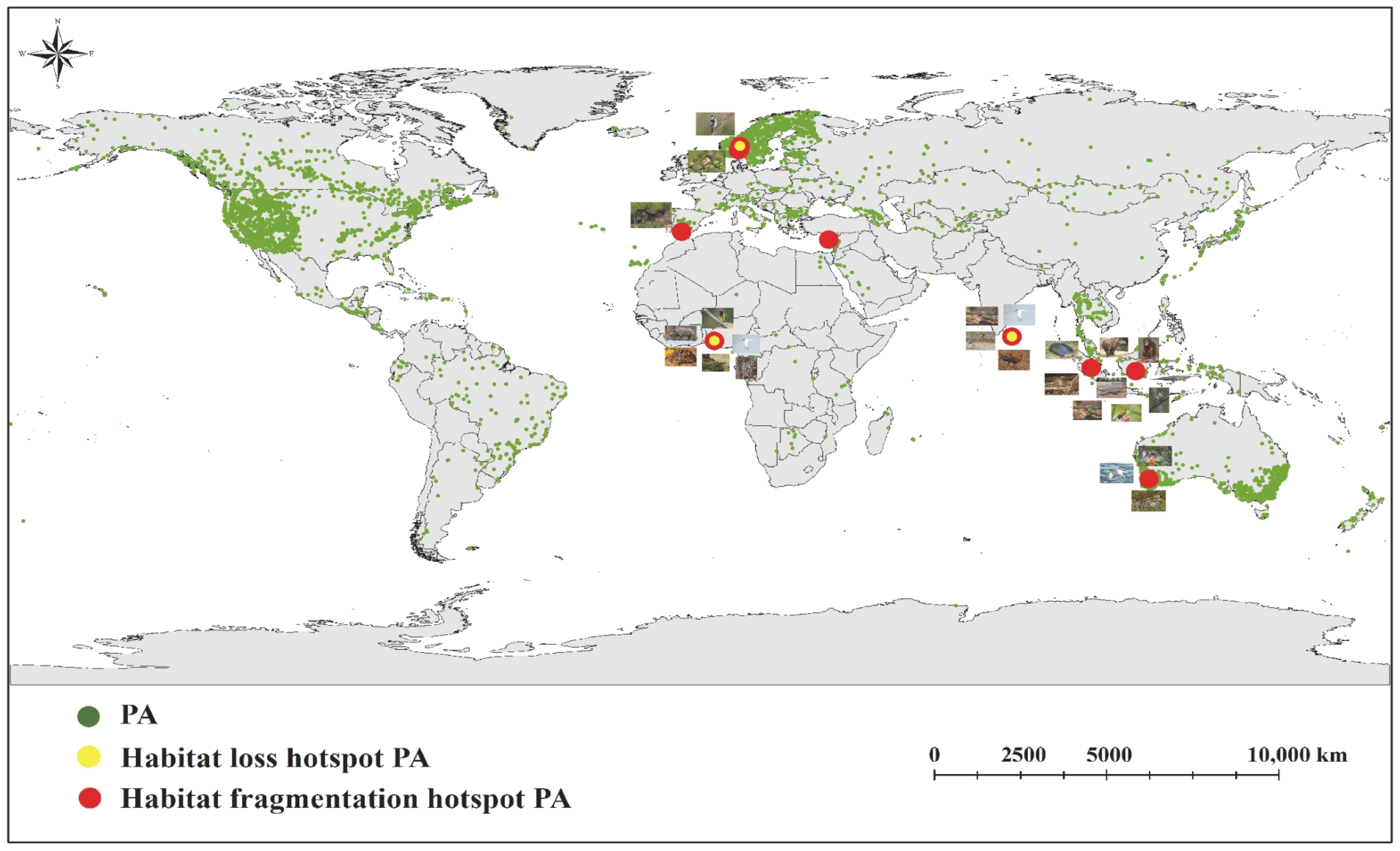 Ecologies 06 00070 g002