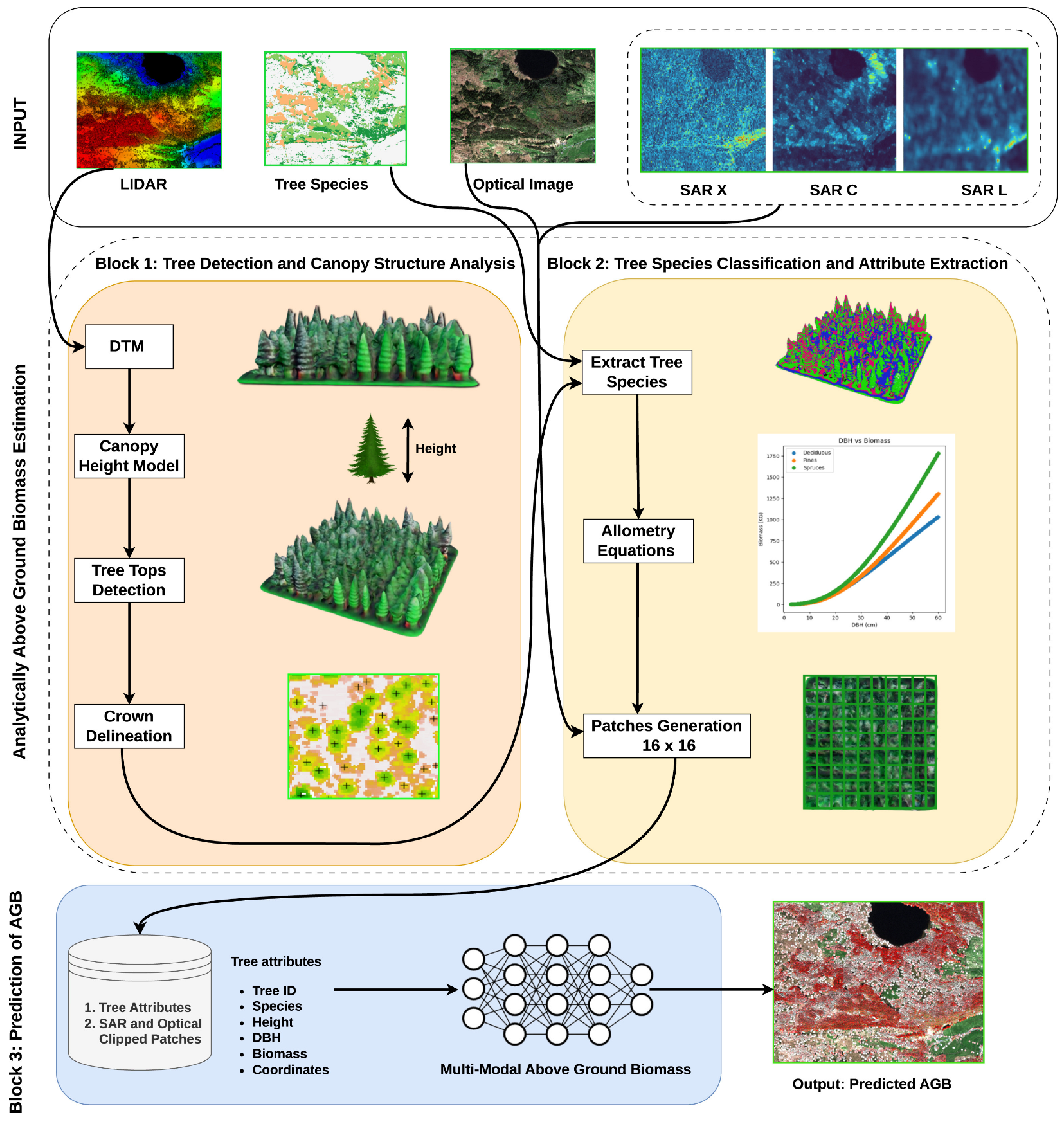 Ecologies 06 00070 g003