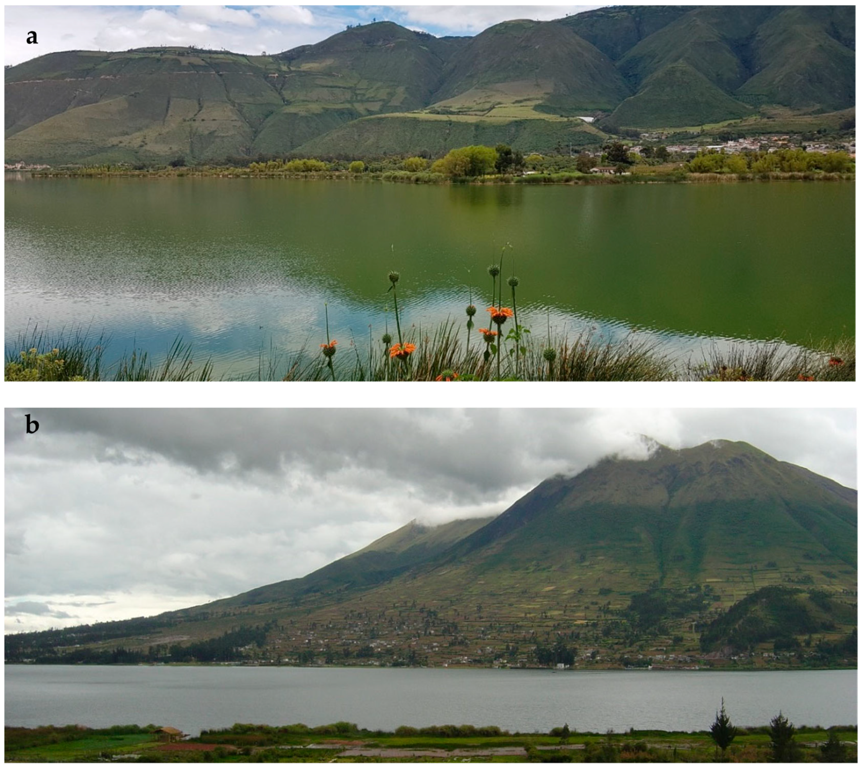 Ecologies 06 00071 g002 Ecologies 06 00071 g002