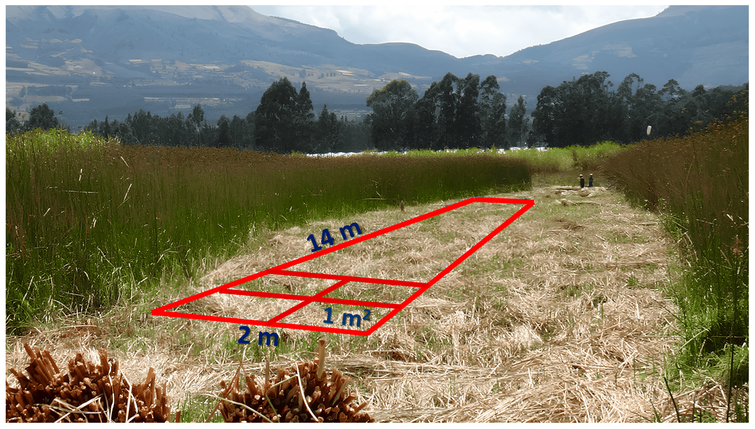 Ecologies 06 00071 g003b Ecologies 06 00071 g003b