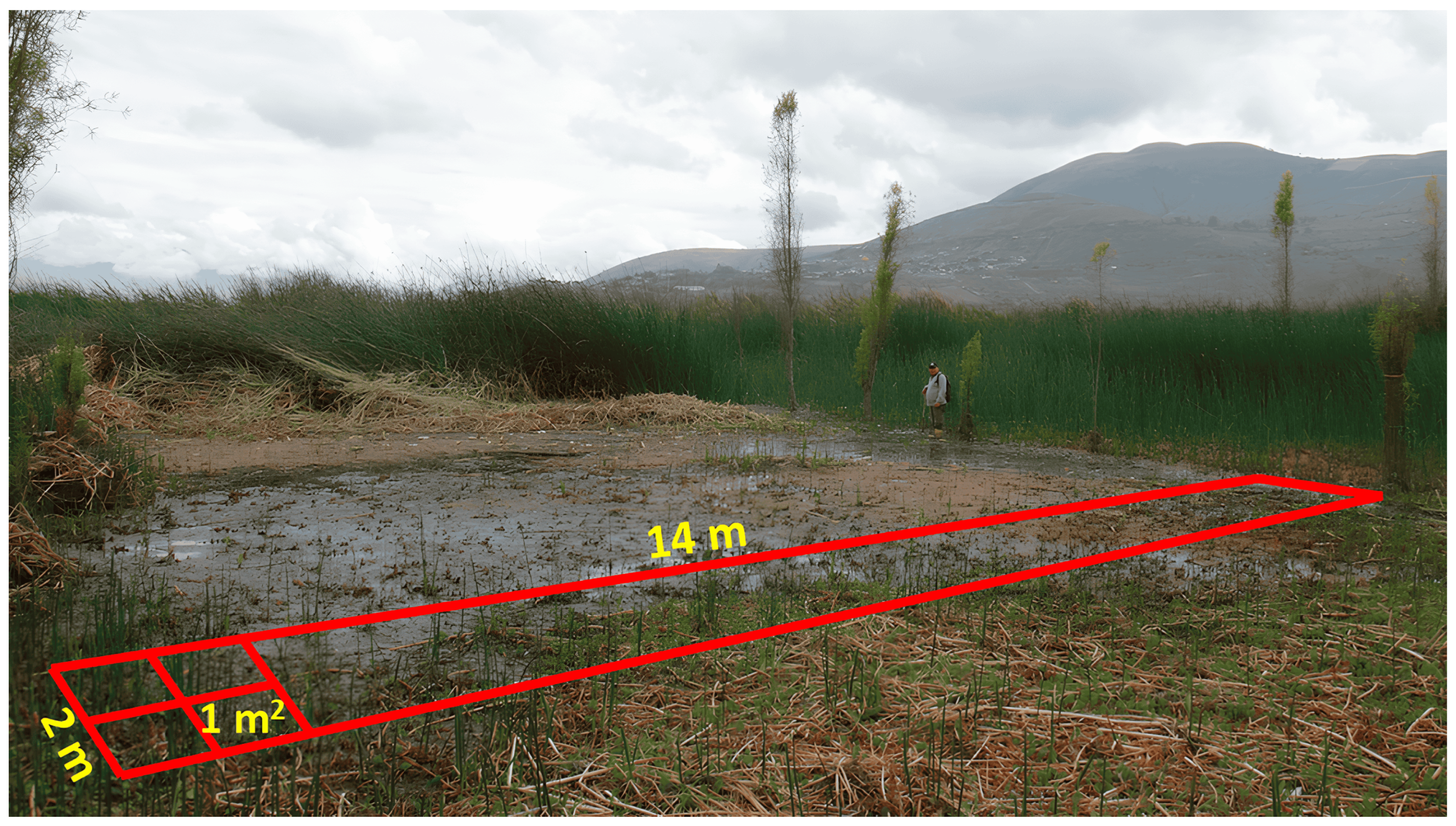 Ecologies 06 00071 g004b Ecologies 06 00071 g004b