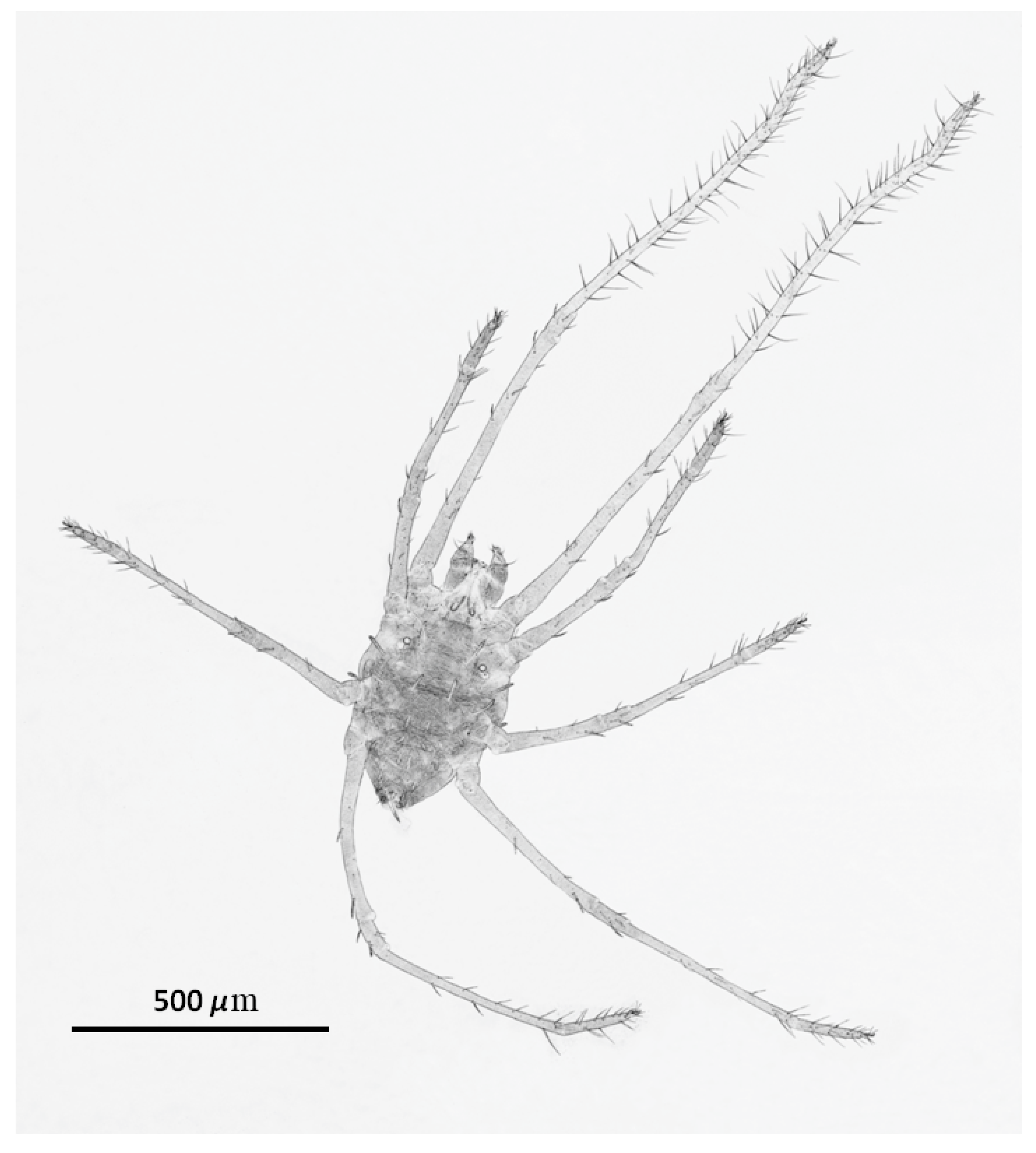 Ecologies 06 00077 g005 Ecologies 06 00077 g005