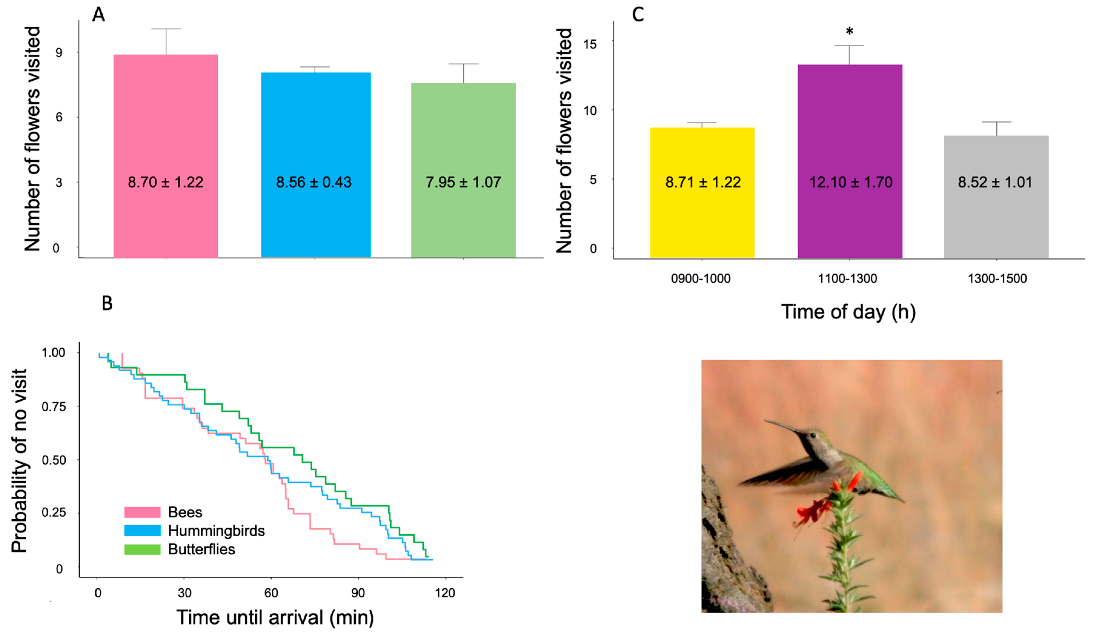 Ecologies 06 00078 g004