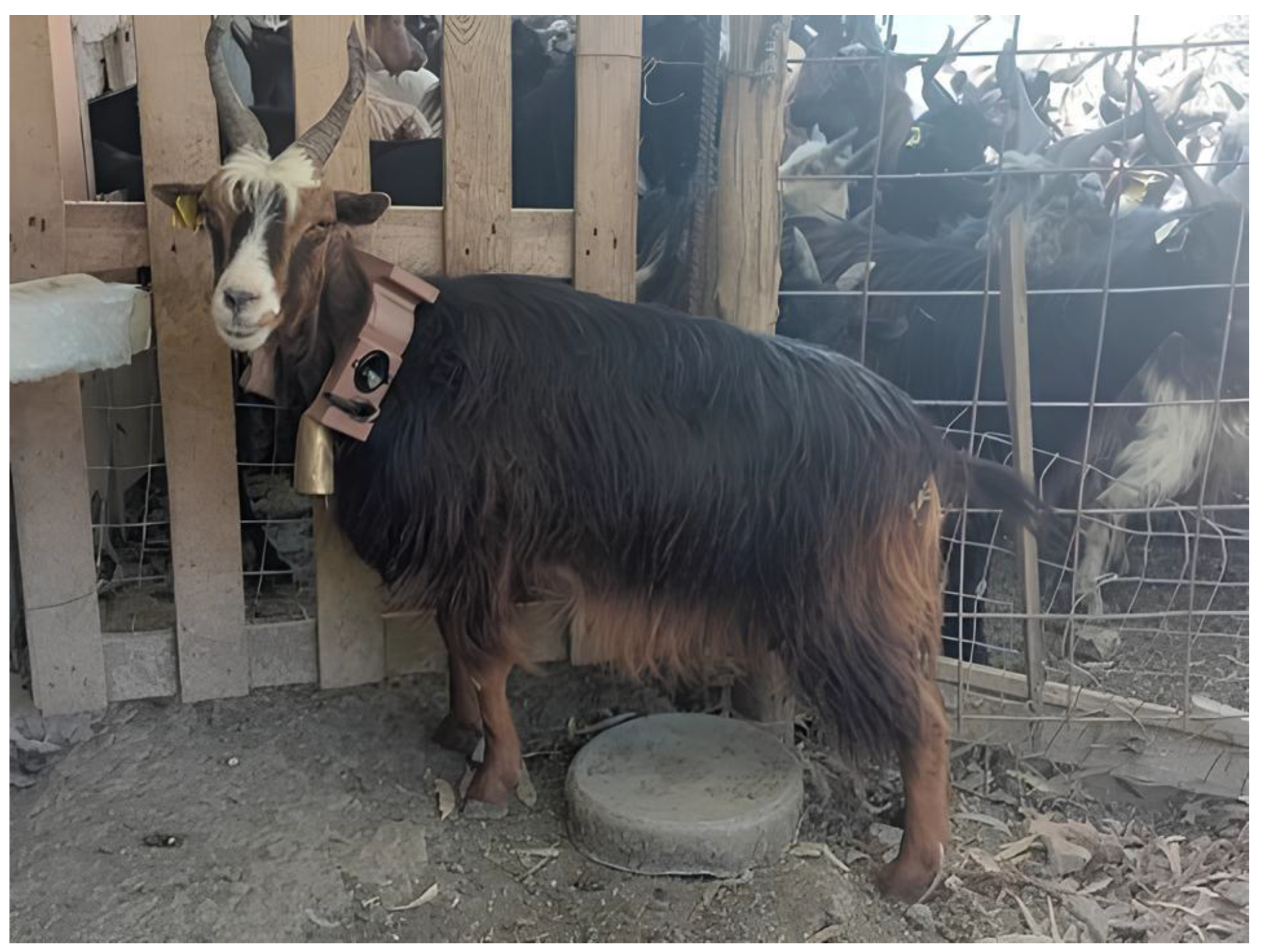 Ecologies 06 00079 g002a