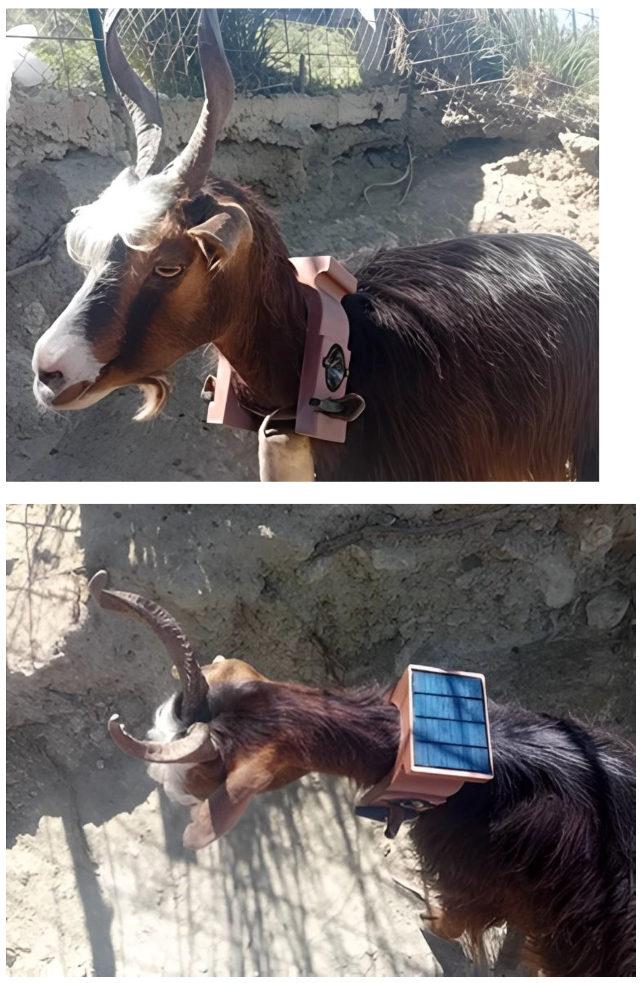 Ecologies 06 00079 g004