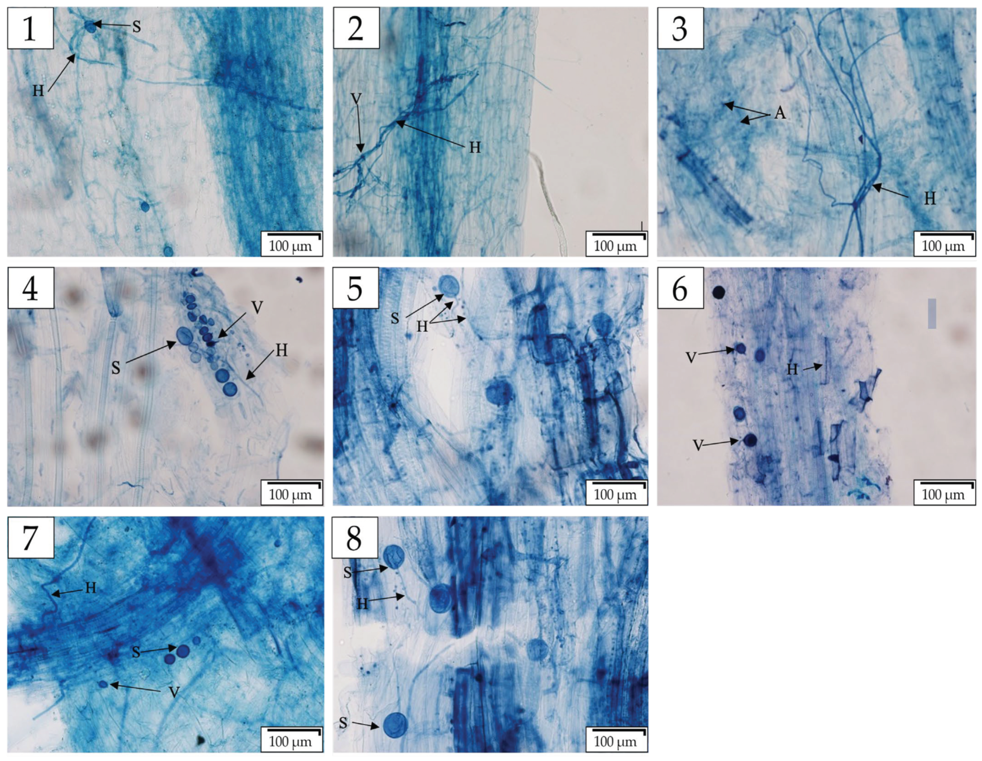Ecologies 06 00080 g002 Ecologies 06 00080 g002