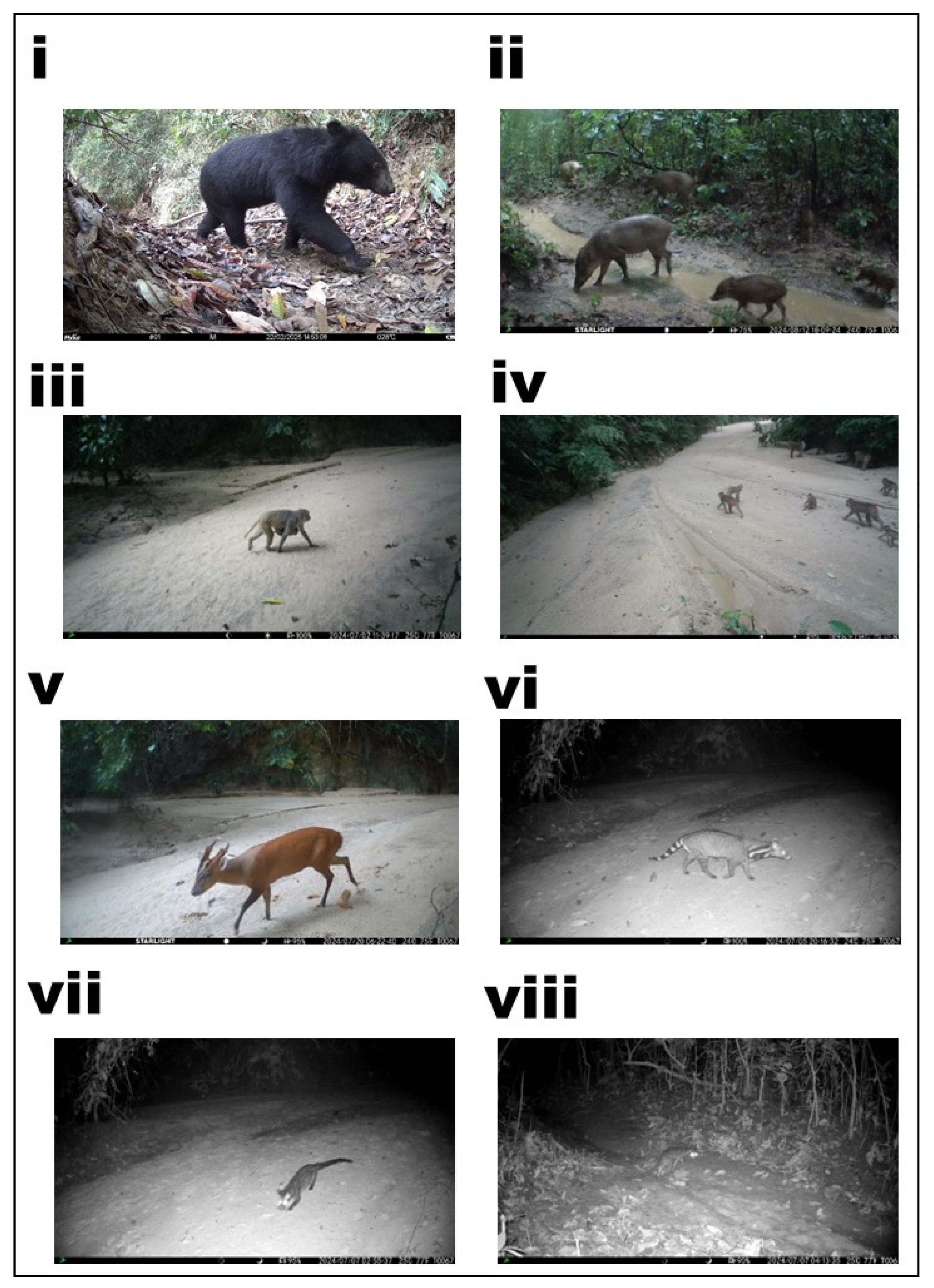 Ecologies 06 00083 g002a Ecologies 06 00083 g002a