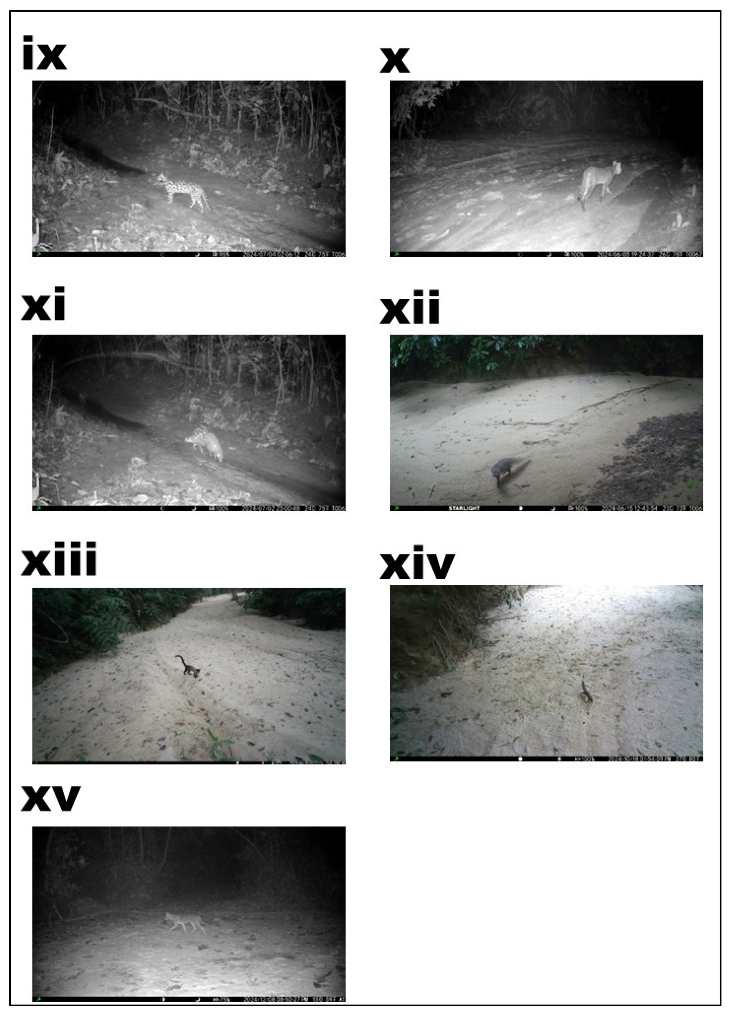 Ecologies 06 00083 g002b Ecologies 06 00083 g002b