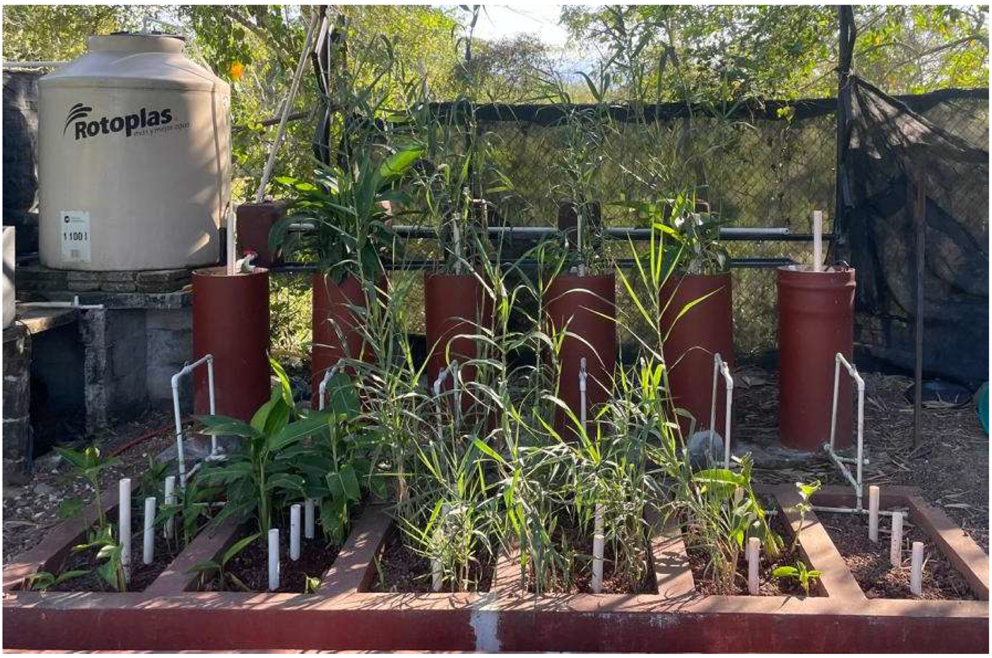 Ecologies 06 00084 g001